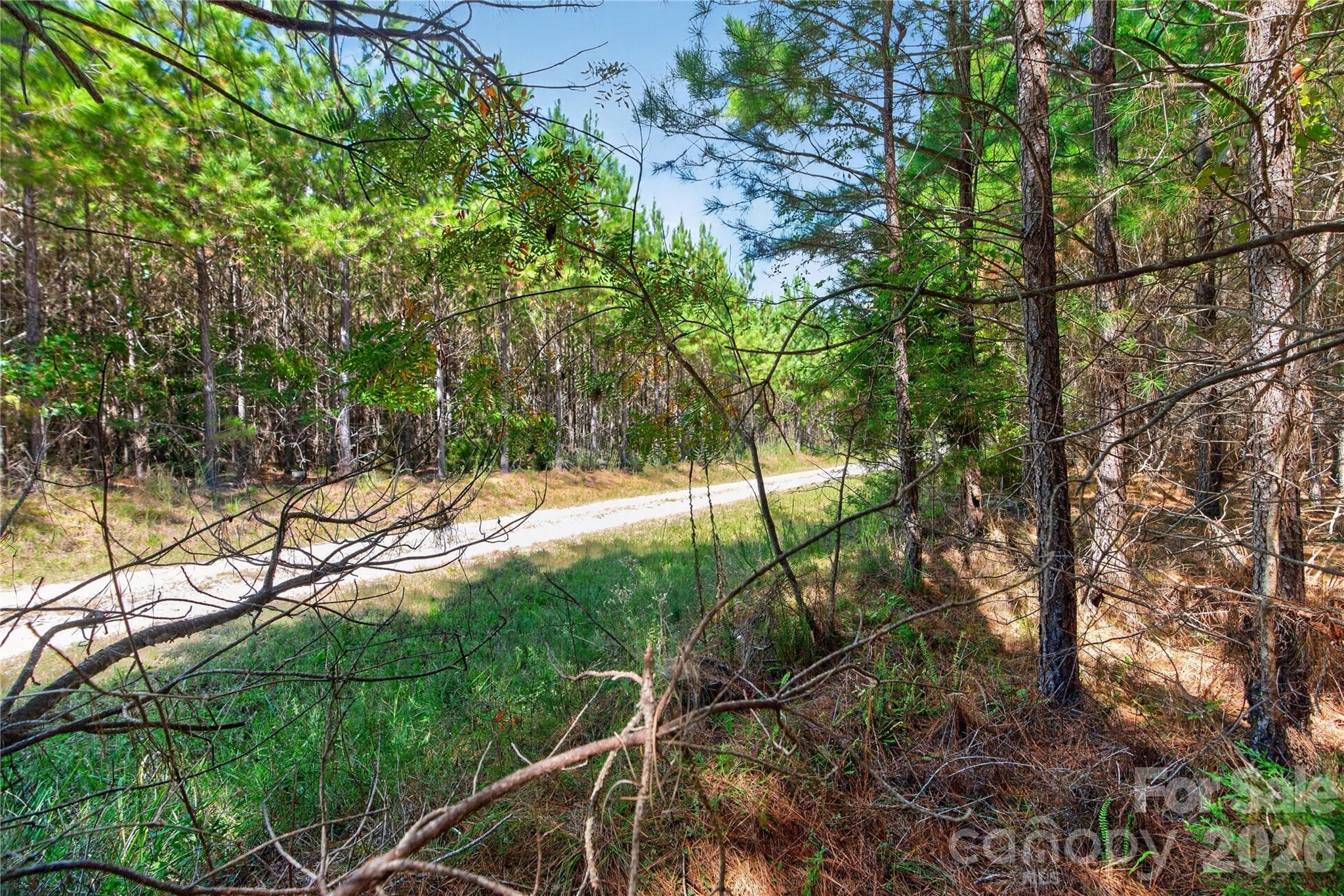 Acreage at 0000 Narrow Bridge Road, Chester, photo 10 of 37