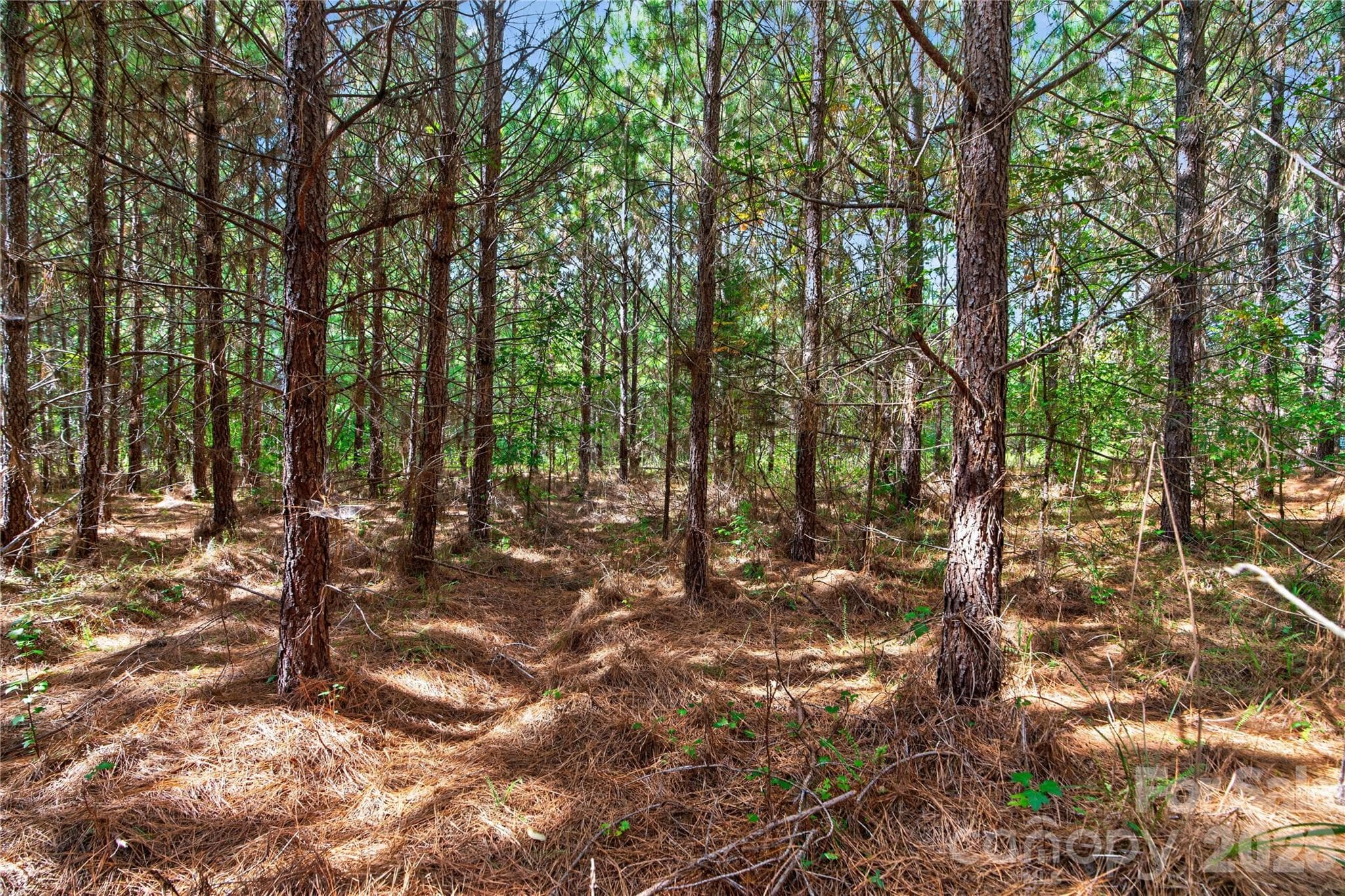 Acreage at 0000 Narrow Bridge Road, Chester, photo 11 of 37