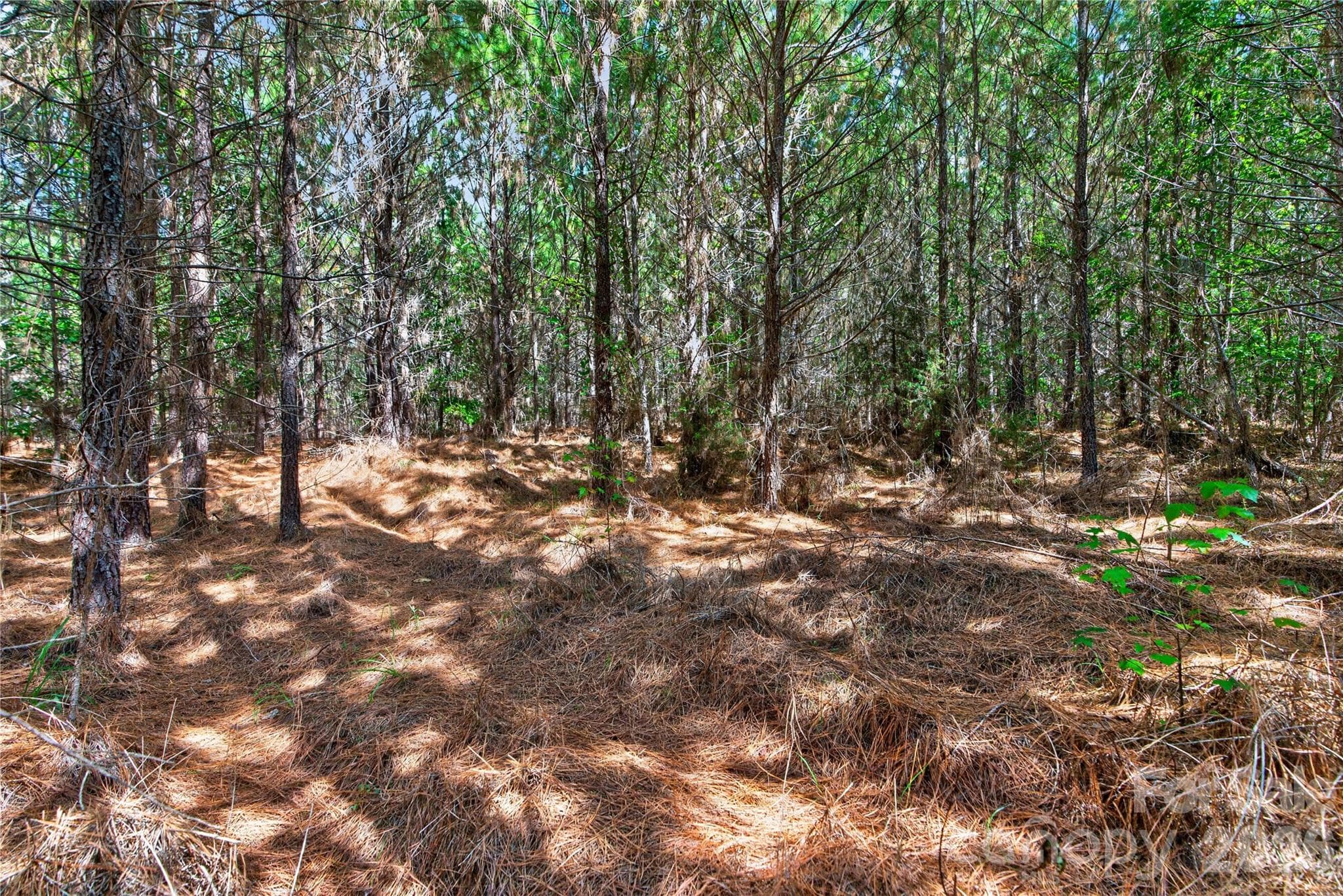 Acreage at 0000 Narrow Bridge Road, Chester, photo 12 of 37