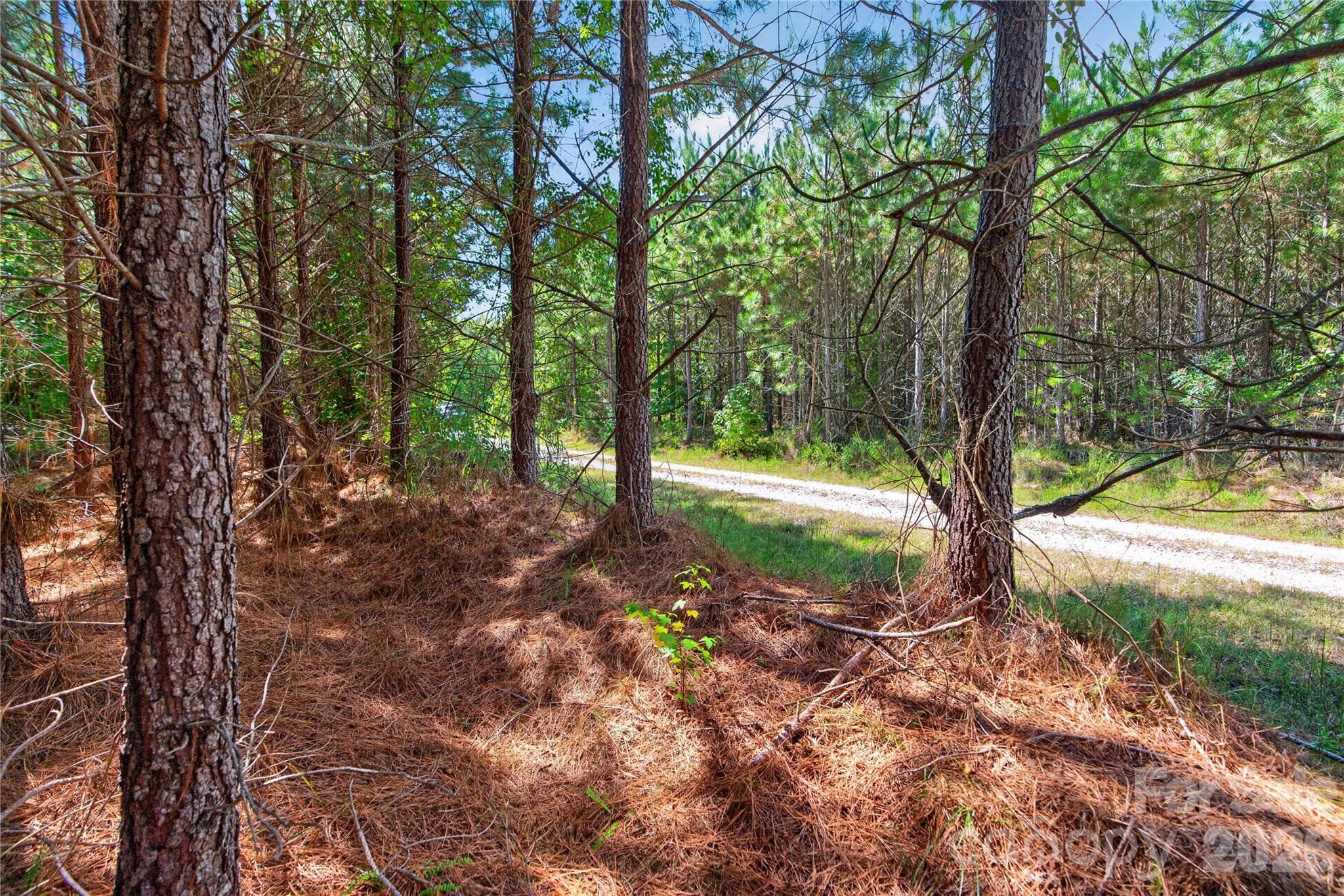Acreage at 0000 Narrow Bridge Road, Chester, photo 13 of 37