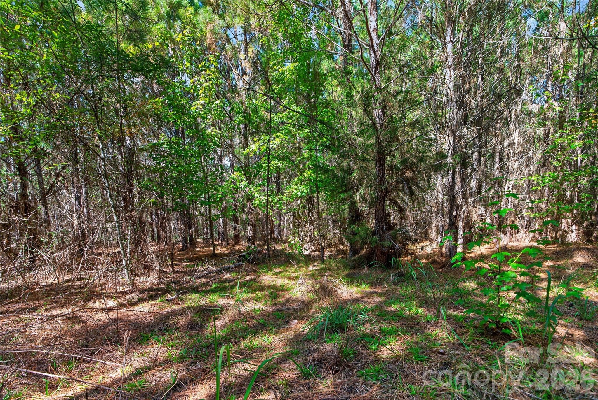 Acreage at 0000 Narrow Bridge Road, Chester, photo 15 of 37