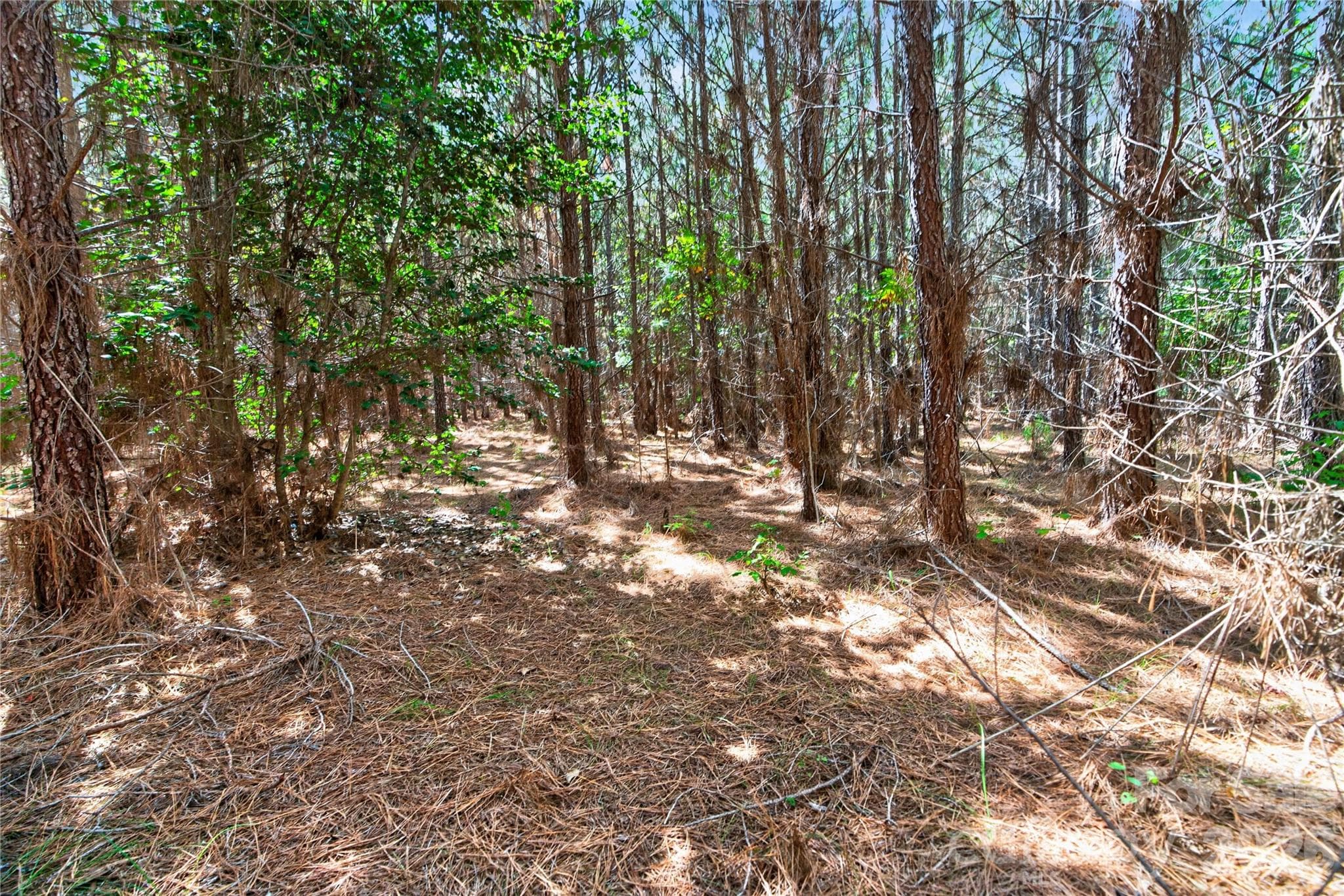 Acreage at 0000 Narrow Bridge Road, Chester, photo 16 of 37