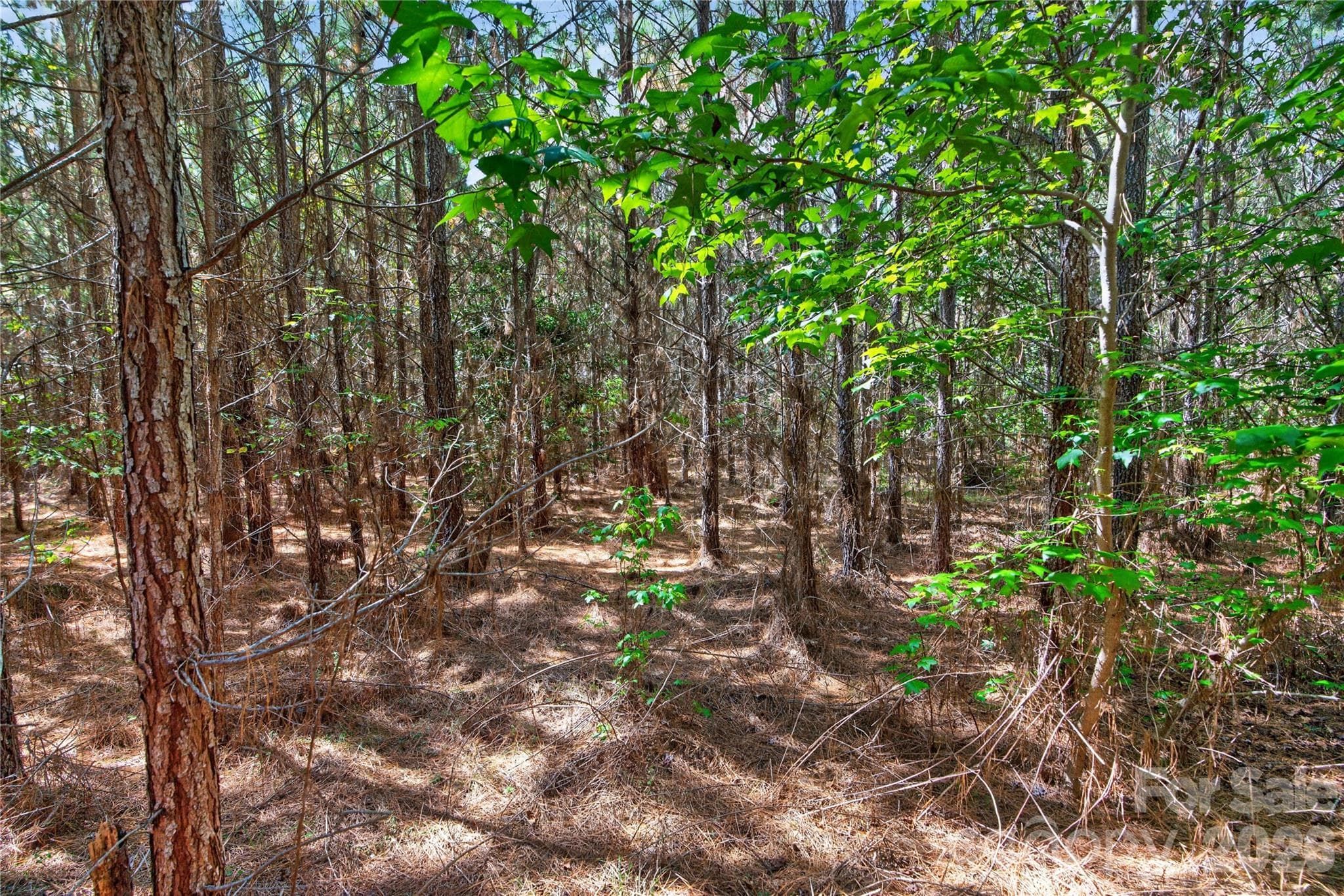 Acreage at 0000 Narrow Bridge Road, Chester, photo 18 of 37