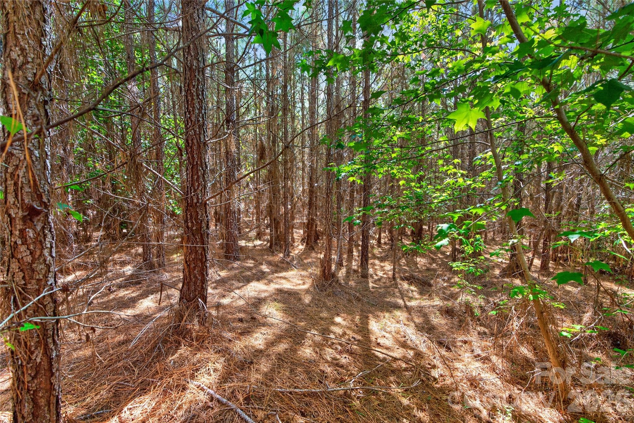 Acreage at 0000 Narrow Bridge Road, Chester, photo 19 of 37