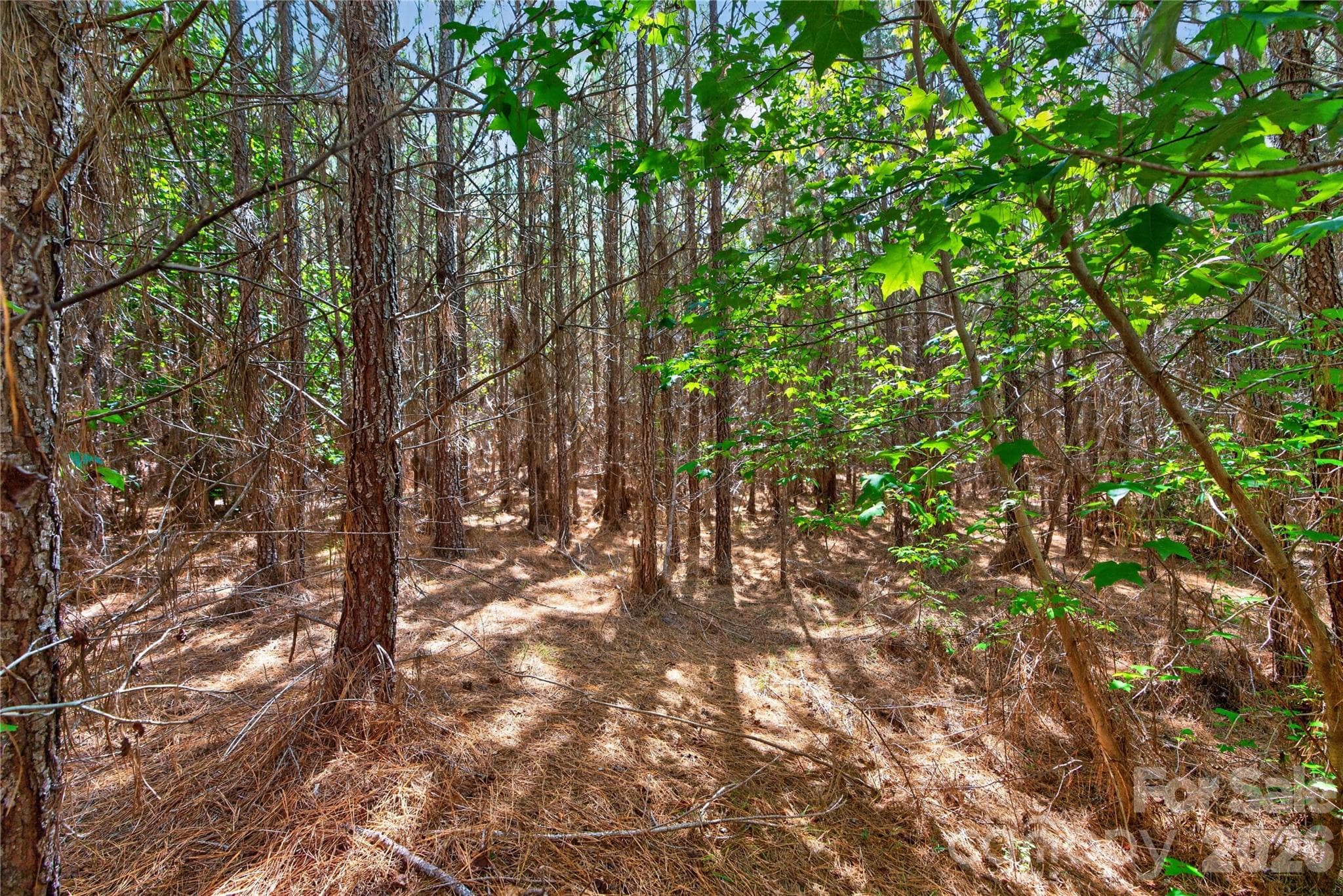 Acreage at 0000 Narrow Bridge Road, Chester, photo 20 of 37