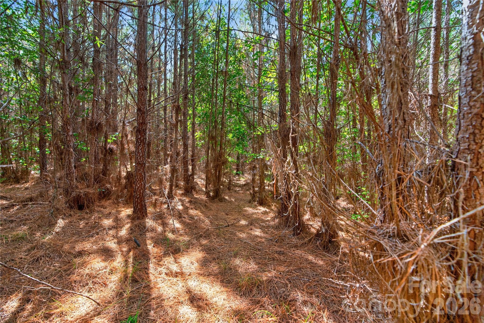 Acreage at 0000 Narrow Bridge Road, Chester, photo 21 of 37