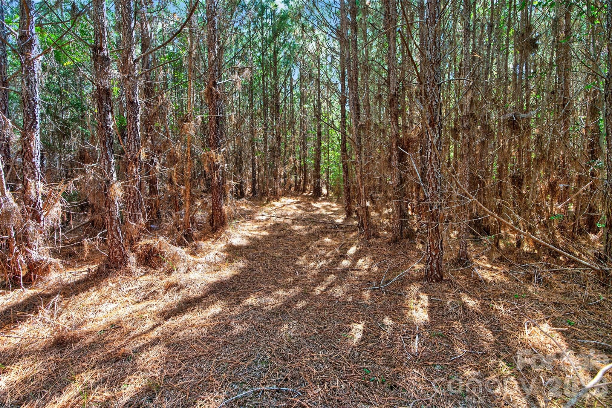 Acreage at 0000 Narrow Bridge Road, Chester, photo 24 of 37