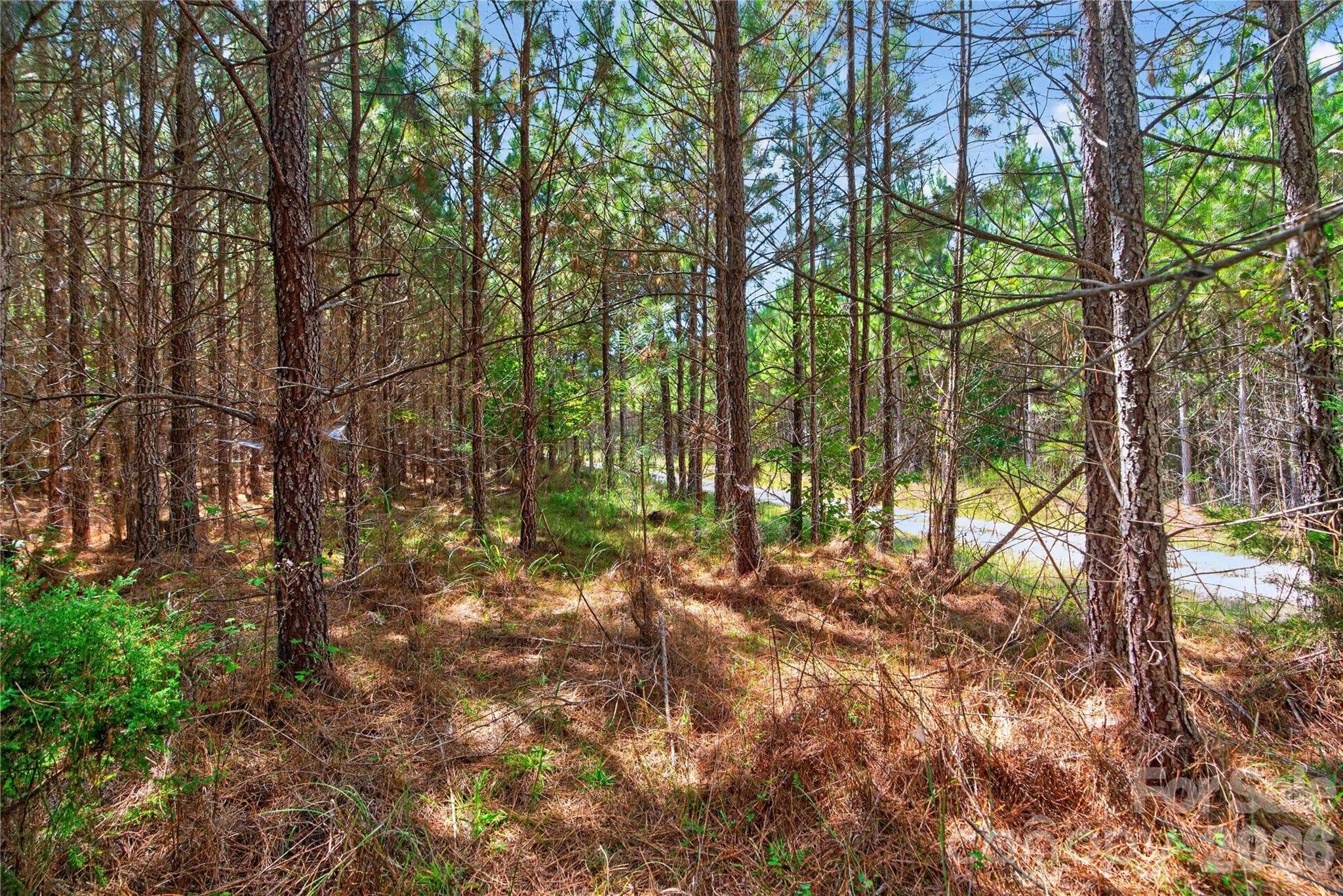Acreage at 0000 Narrow Bridge Road, Chester, photo 27 of 37