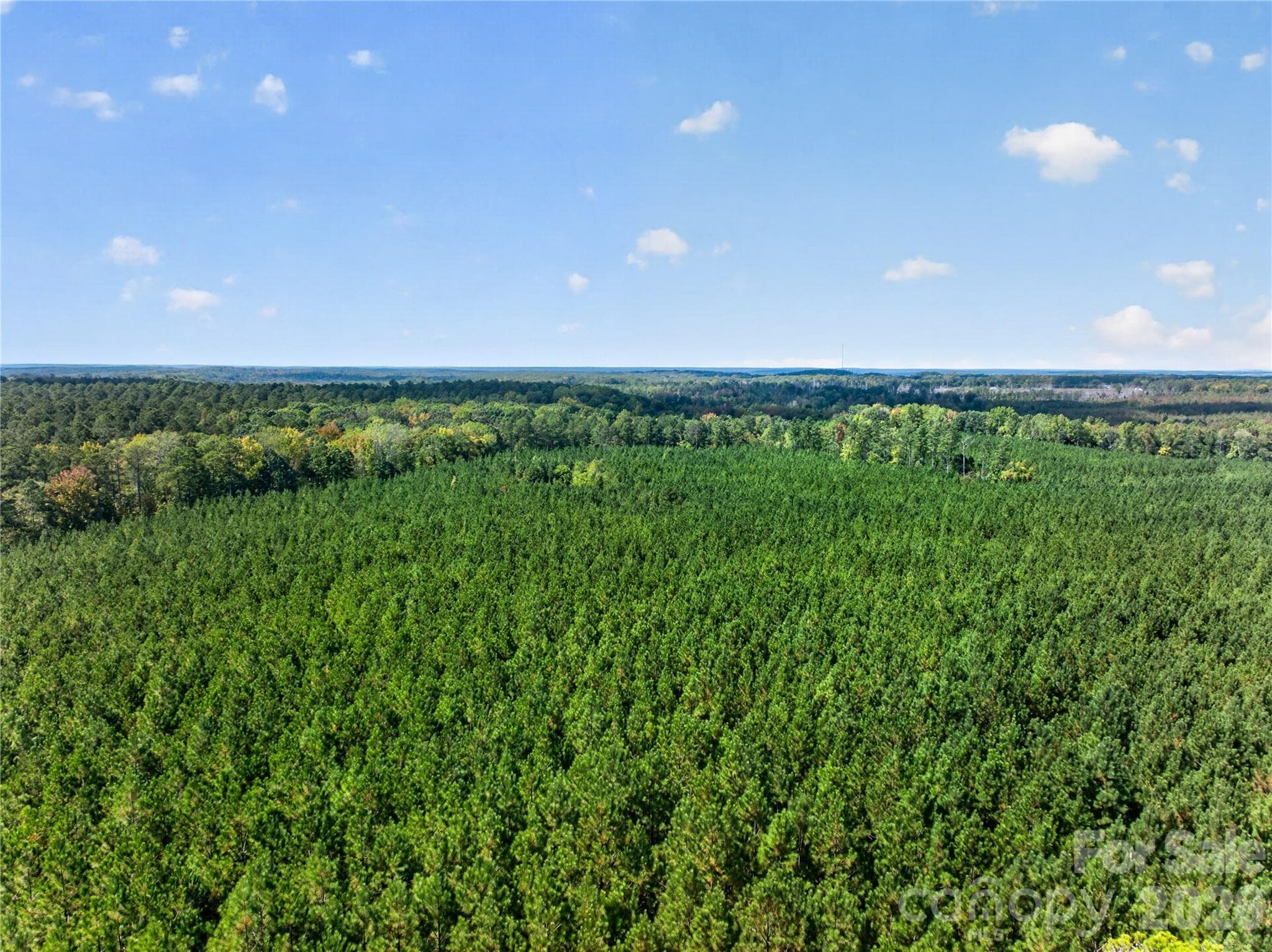 Acreage at 0000 Narrow Bridge Road, Chester, photo 29 of 37