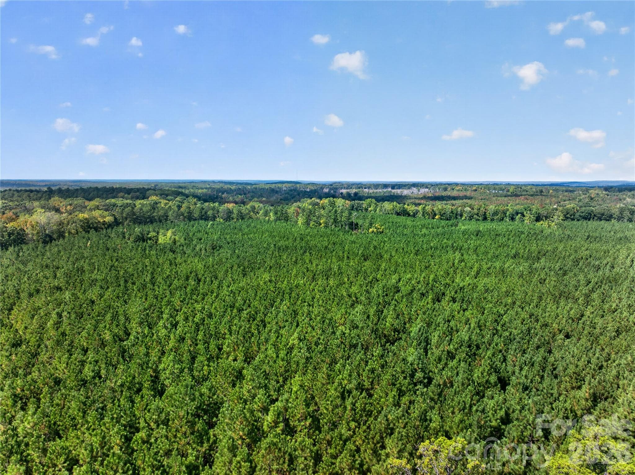 Acreage at 0000 Narrow Bridge Road, Chester, photo 30 of 37