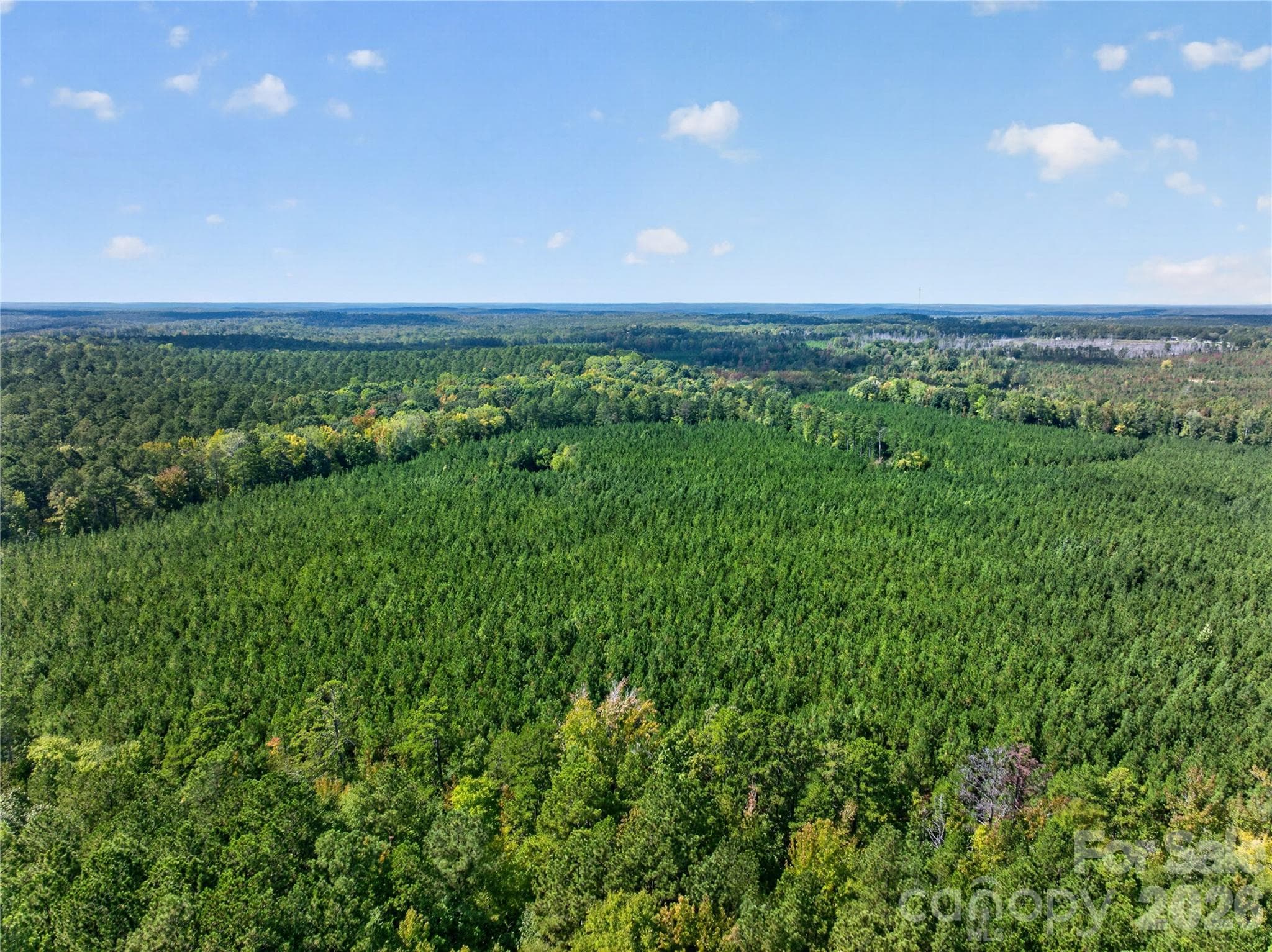 Acreage at 0000 Narrow Bridge Road, Chester, photo 31 of 37