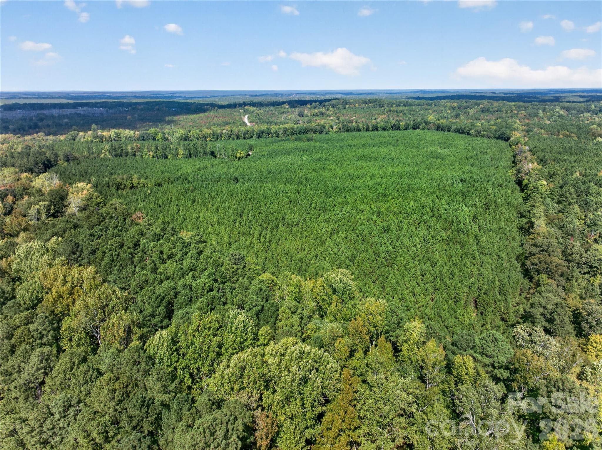 Acreage at 0000 Narrow Bridge Road, Chester, photo 33 of 37