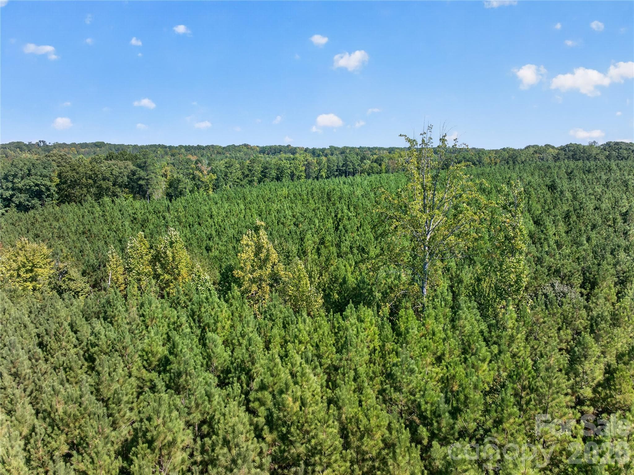 Acreage at 0000 Narrow Bridge Road, Chester, photo 36 of 37