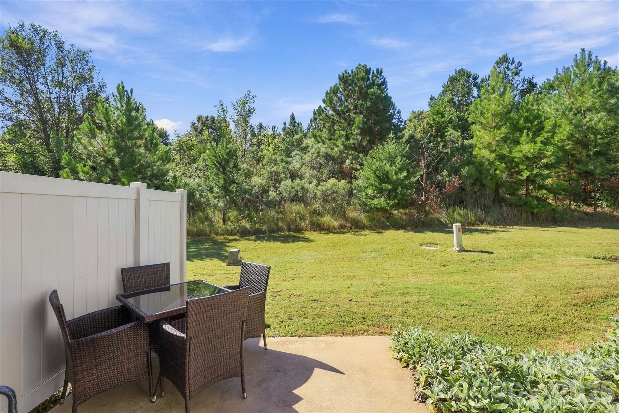 Backyard- natural landscape creates a great privacy buffer - 1020 Archibald Avenue, Fort Mill