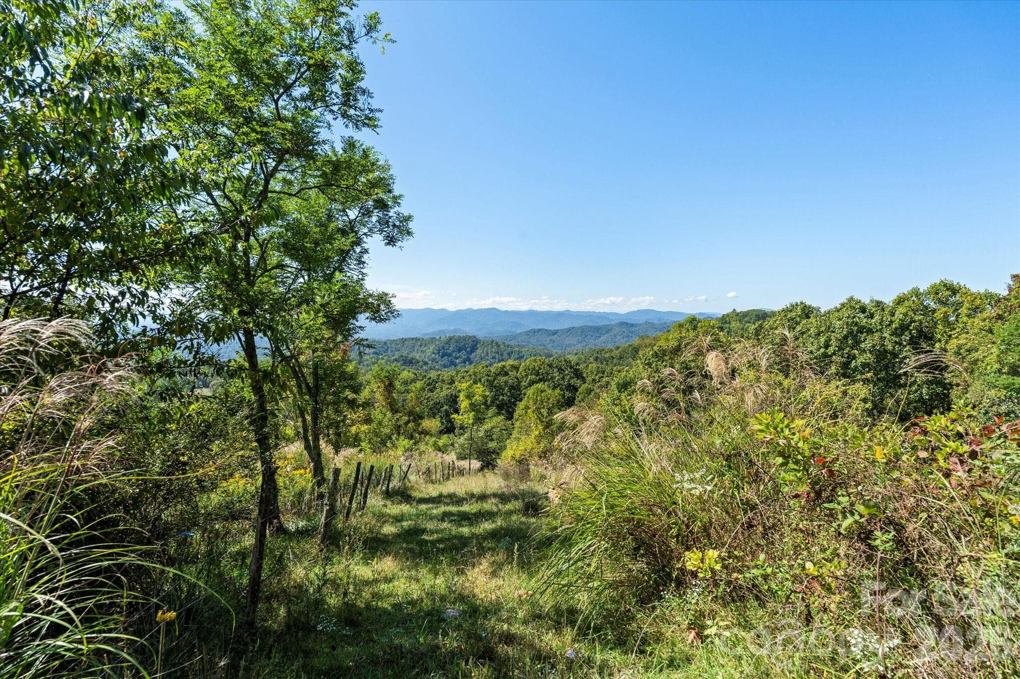 Future build site? - 1623 Ammons Branch Road, Marshall