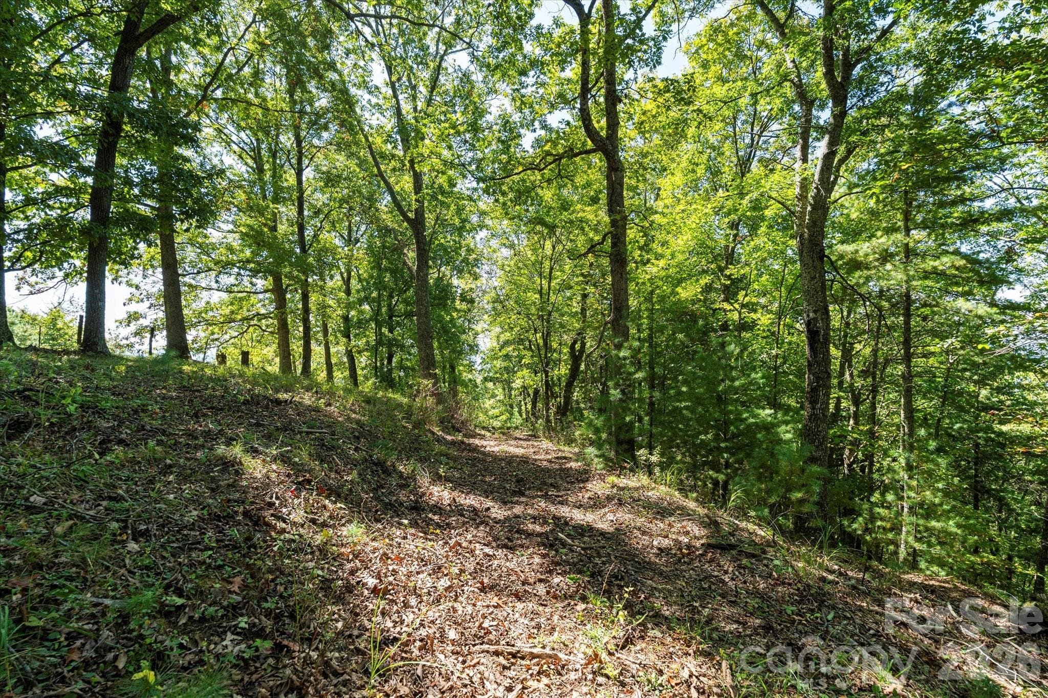 rough roads/trails - 1623 Ammons Branch Road, Marshall