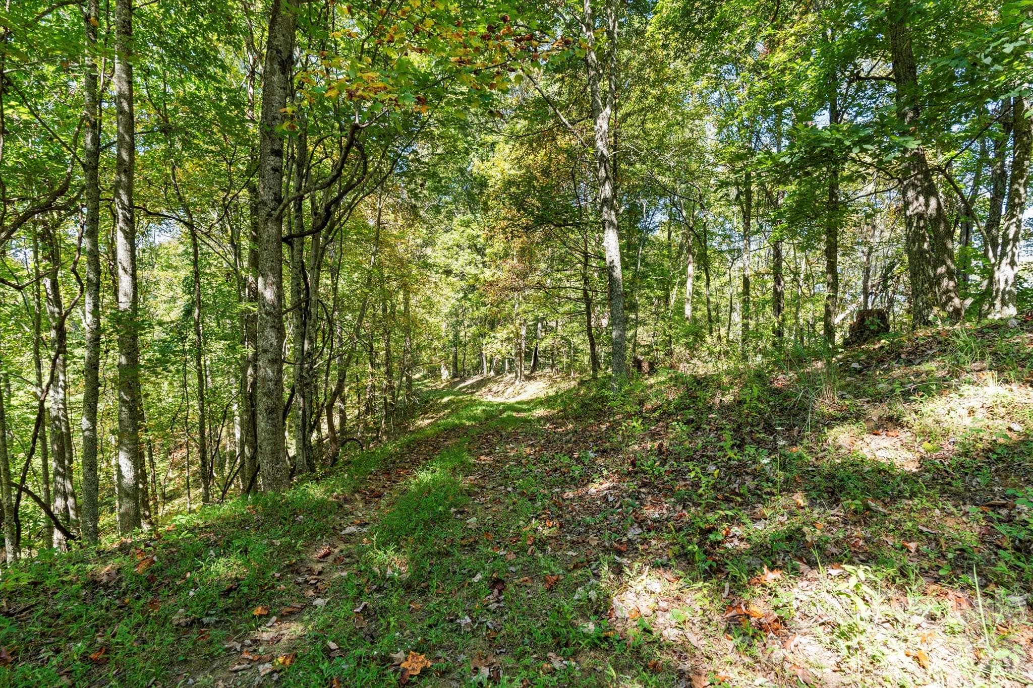 Acreage at 1623 Ammons Branch Road, Marshall, photo 15 of 47