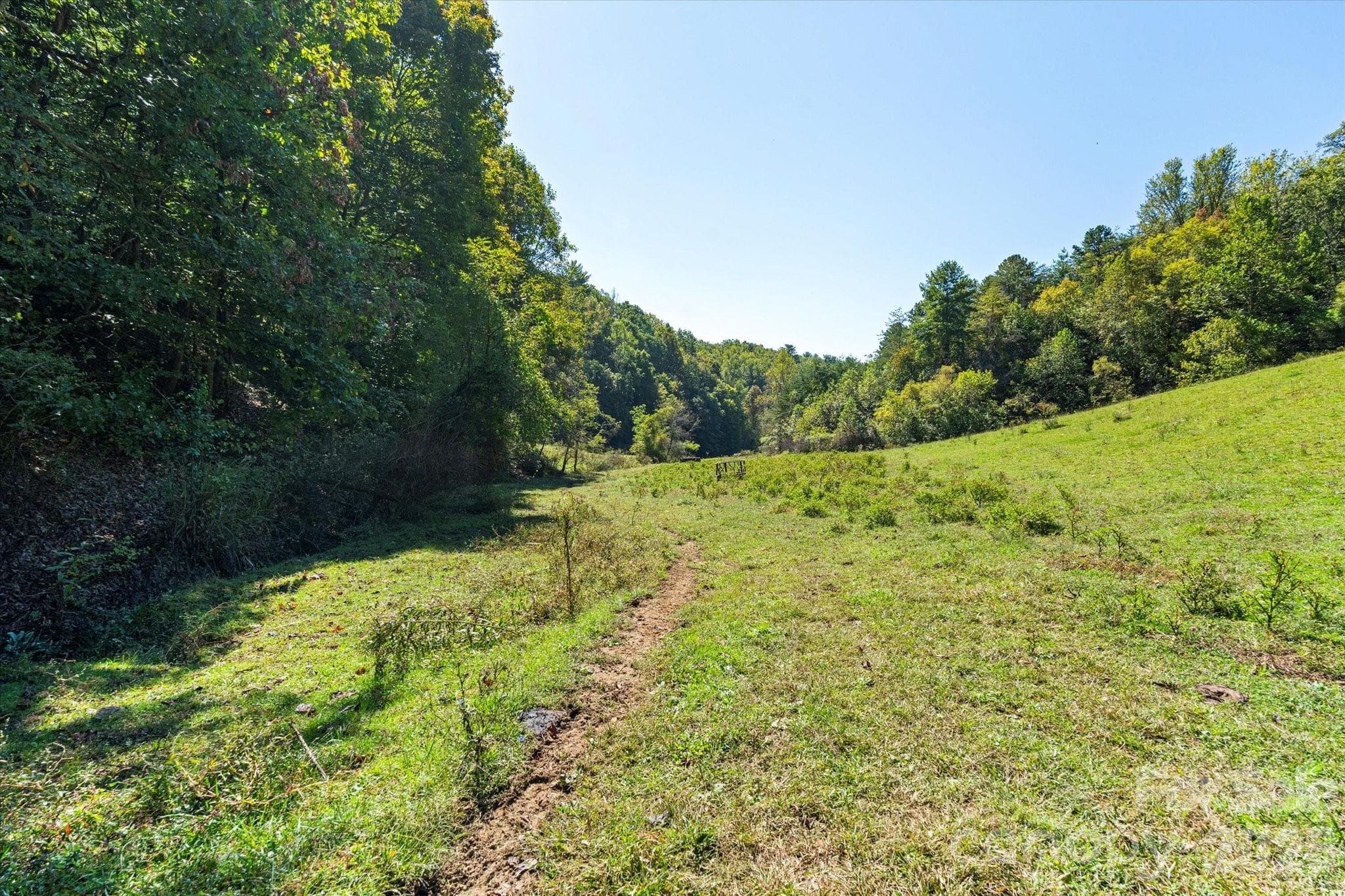 Acreage at 1623 Ammons Branch Road, Marshall, photo 17 of 47