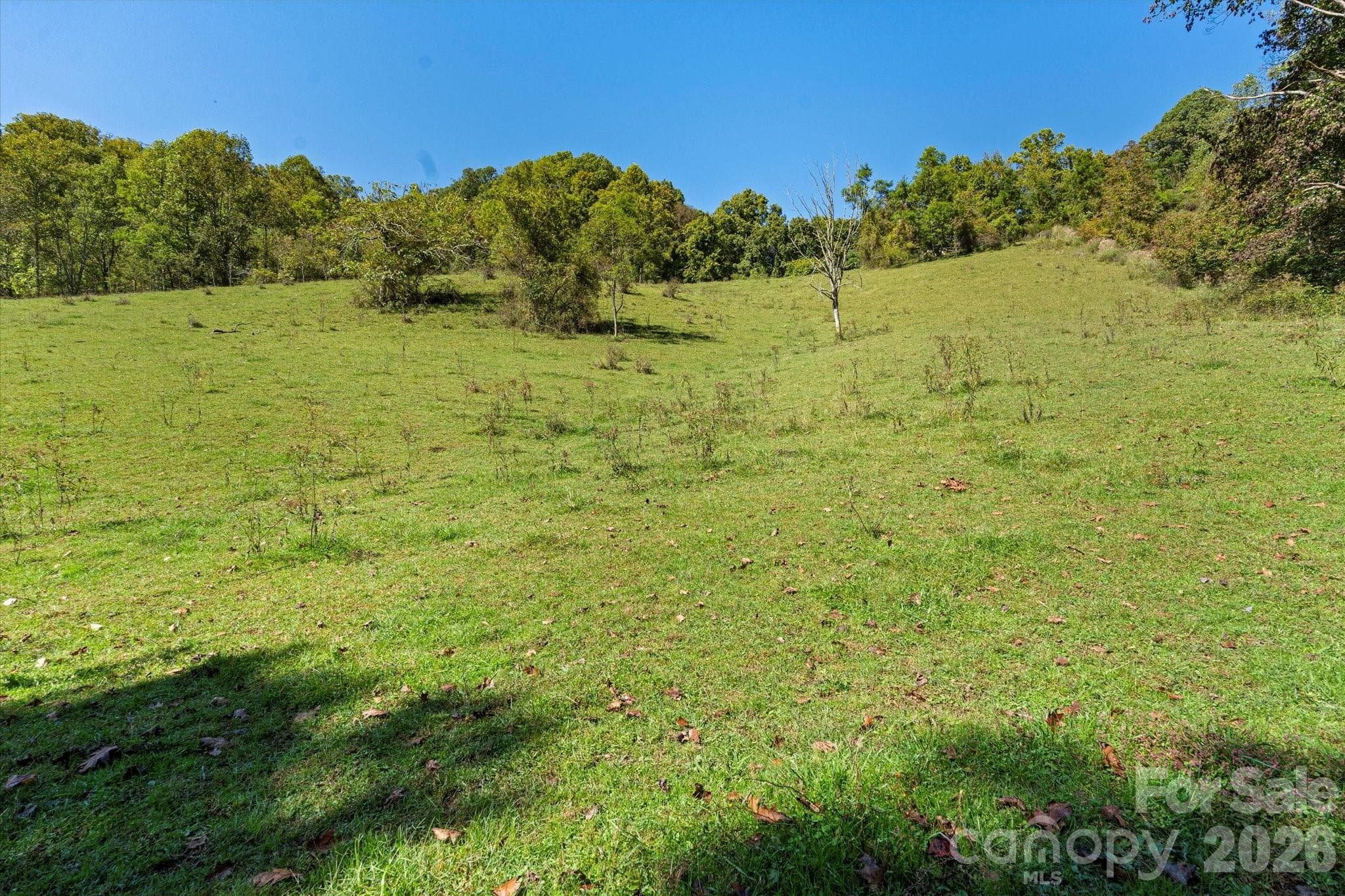 Pasture - Marshall