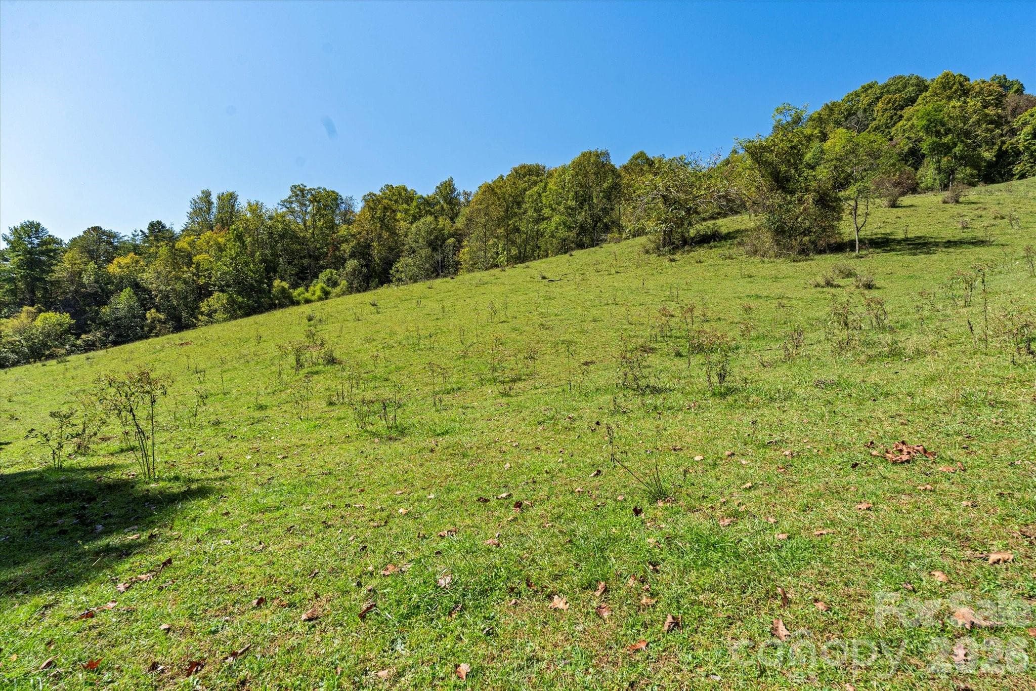 Or future build site? - Marshall
