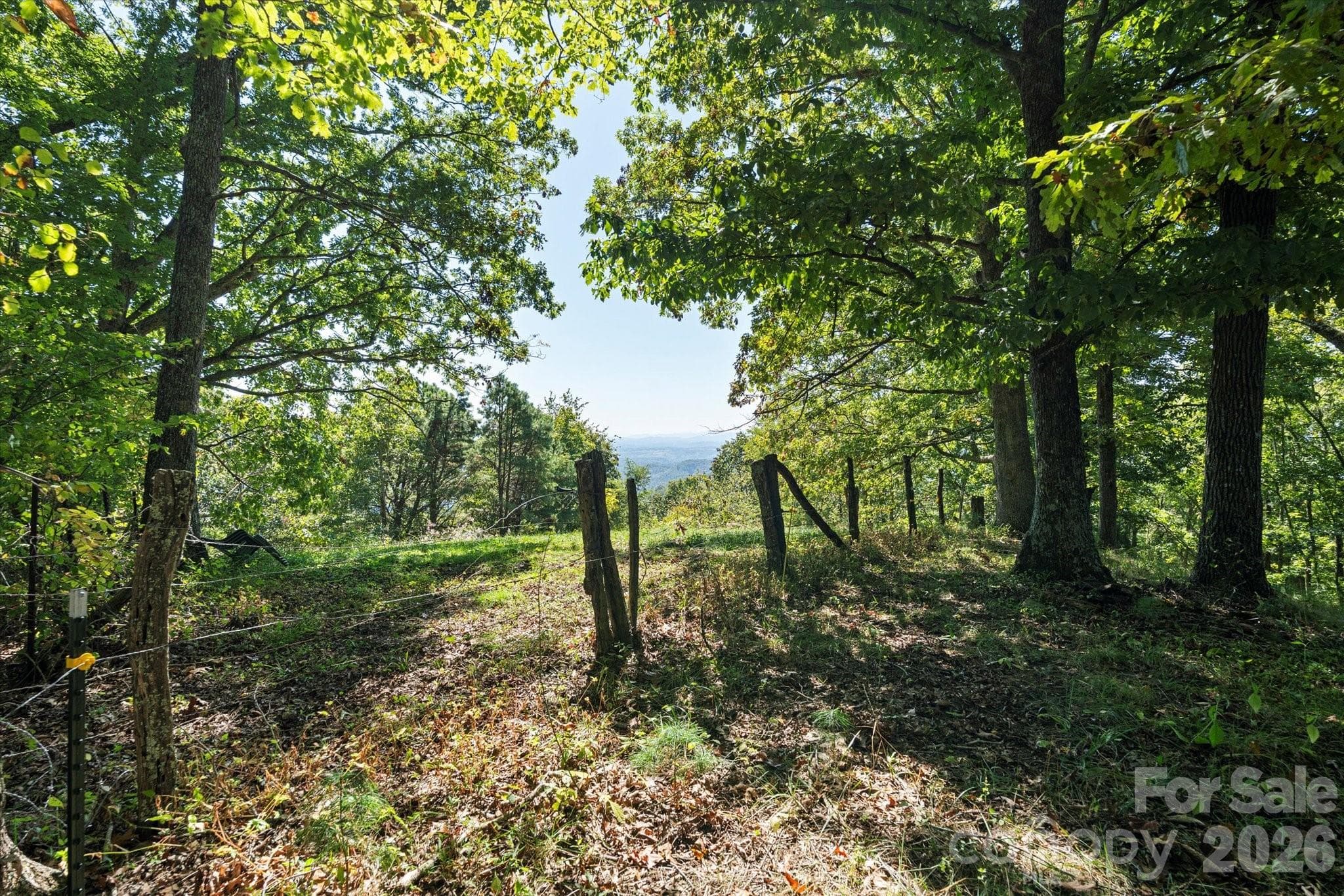 Top of the ridge - Marshall