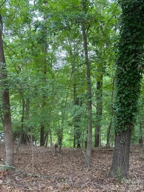 Lot at 10045 Tepa Place, Tega Cay, photo 2 of 4