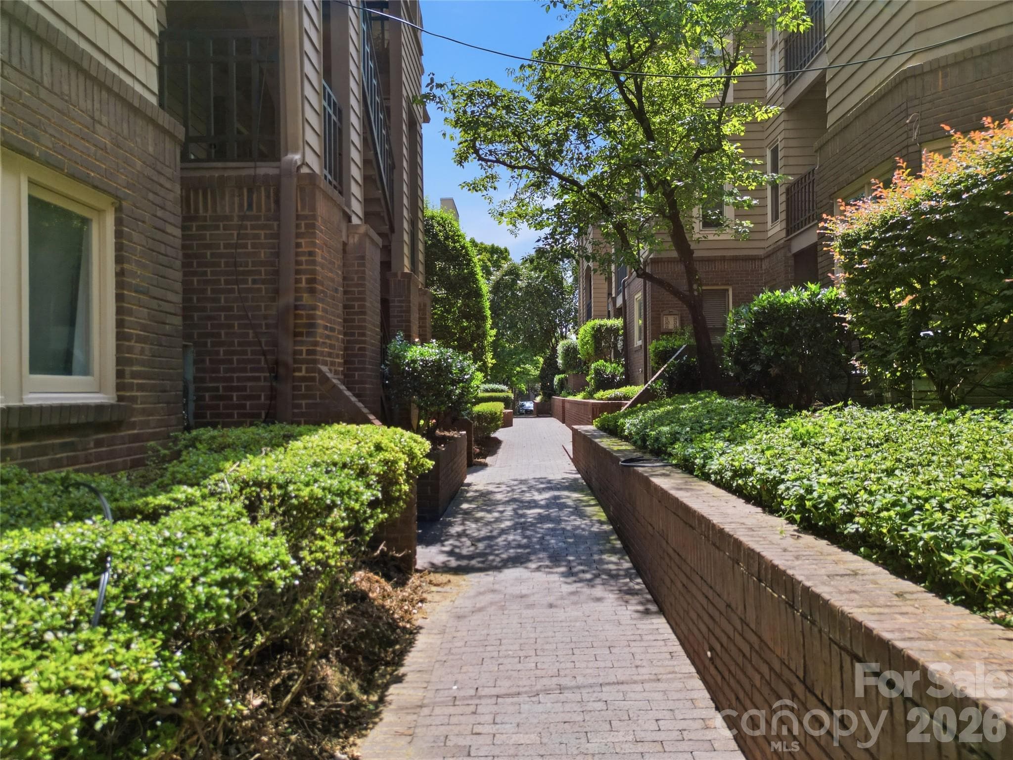brick courtyard - 1109 E Morehead Street, Charlotte