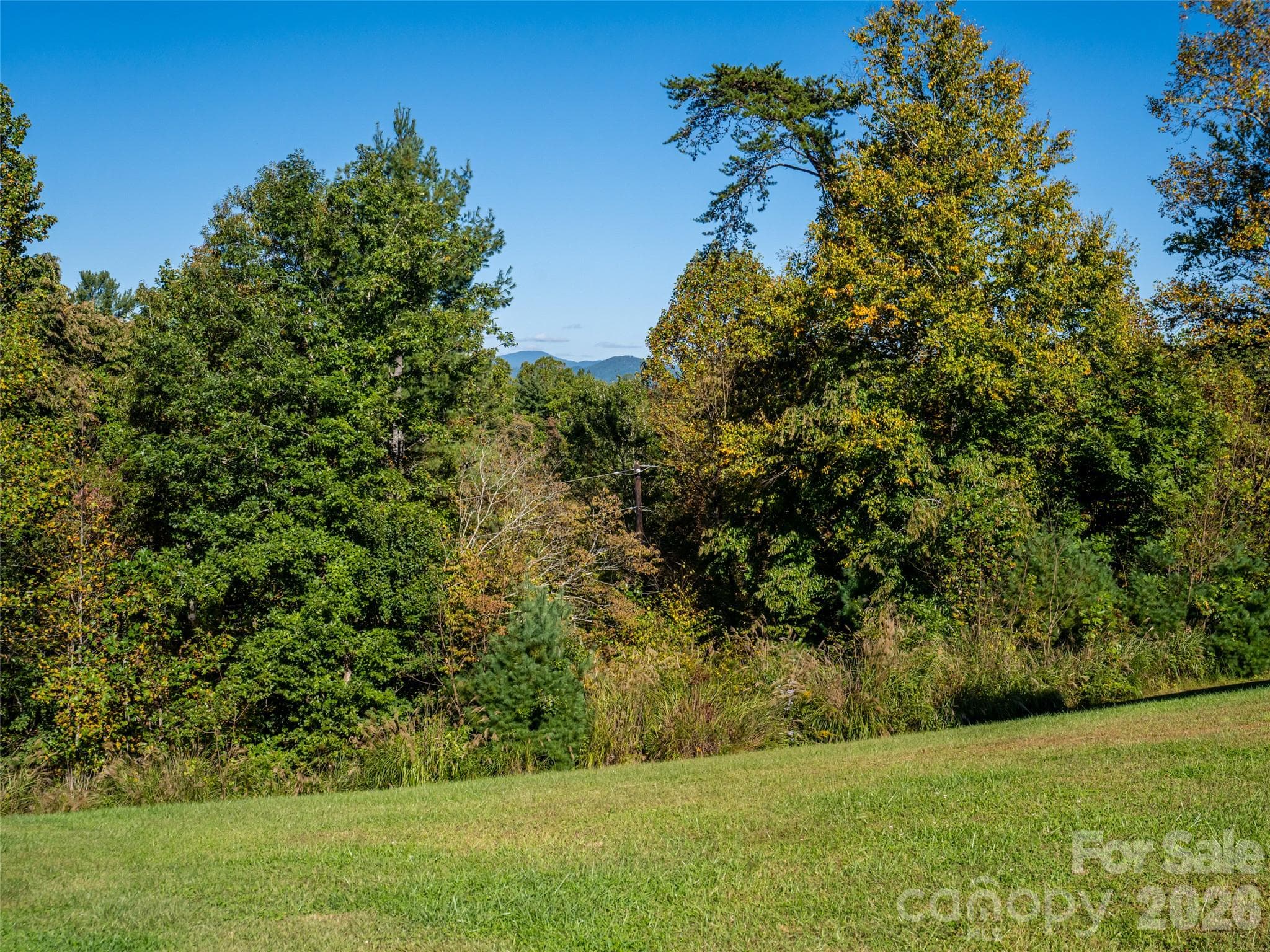 Single Family Residence at 103 Hayes Ridge Lane, Mills River, photo 42 of 48