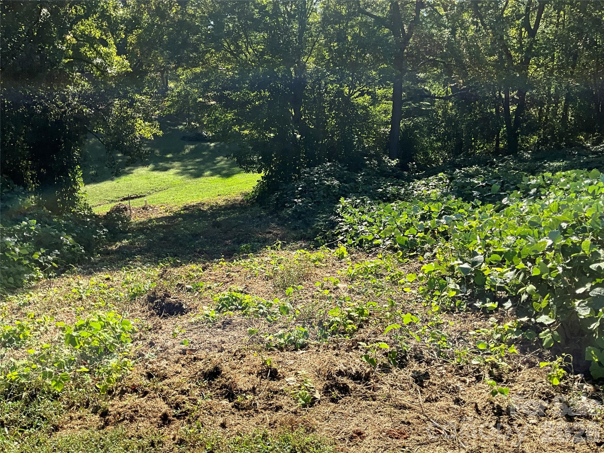 Lot at Lot 7 Macy Court, Taylorsville, photo 10 of 25