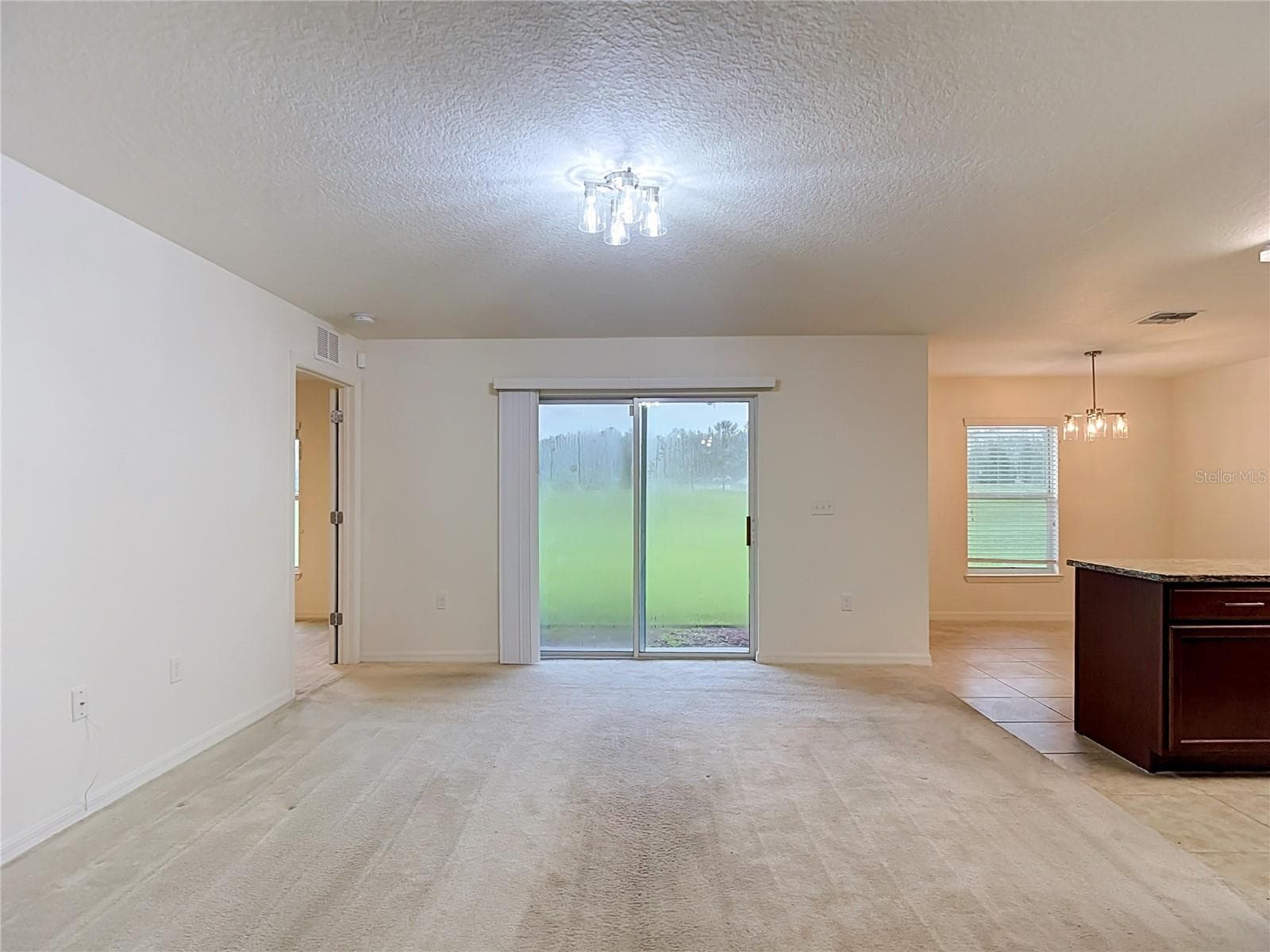 Single Family Residence at 30541 SATINLEAF RUN, BROOKSVILLE, photo 7 of 54