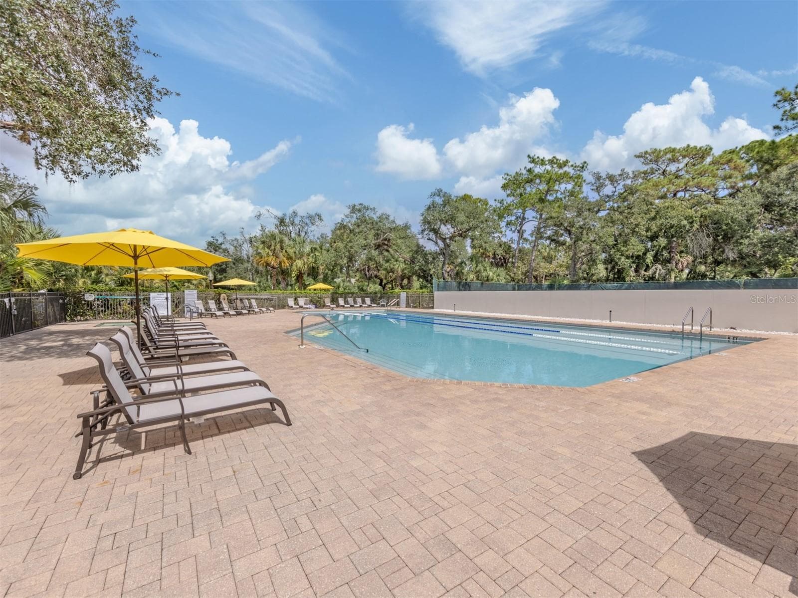 The Meadows Pool - 4713 WINSLOW BEACON #5, SARASOTA
