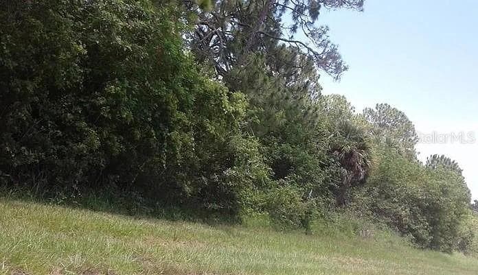 Land at 11988 WATERMAN AVE, PORT CHARLOTTE, photo 2 of 3