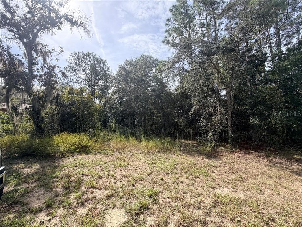 Land at 5066 E Anna Jo DR, INVERNESS FL 34452, photo 3 of 4