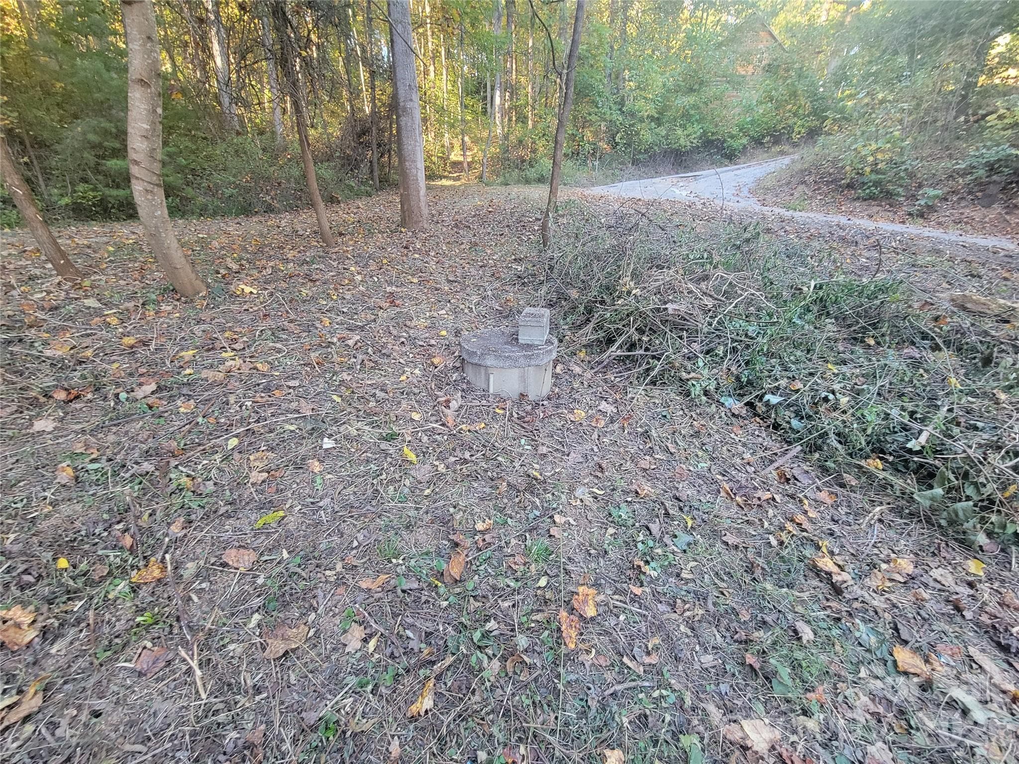 Lot at 31 Mistletoe Ridge, Waynesville, photo 23 of 27
