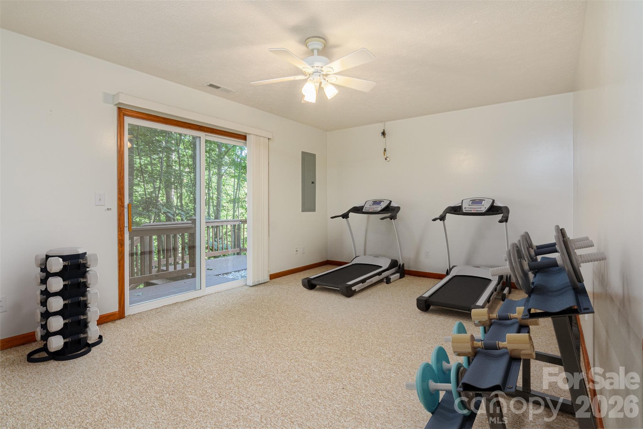Lower Exercise Room - Virtual Staging - 299 Carriage Summitt Way, Hendersonville