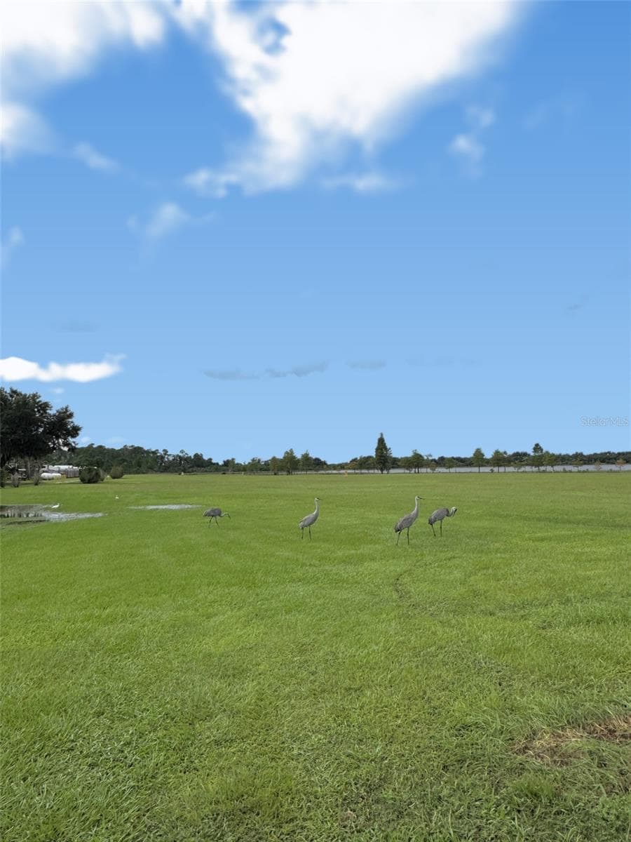 Land at 12 SADDLEBAG TRL N, LAKE WALES, photo 37 of 89