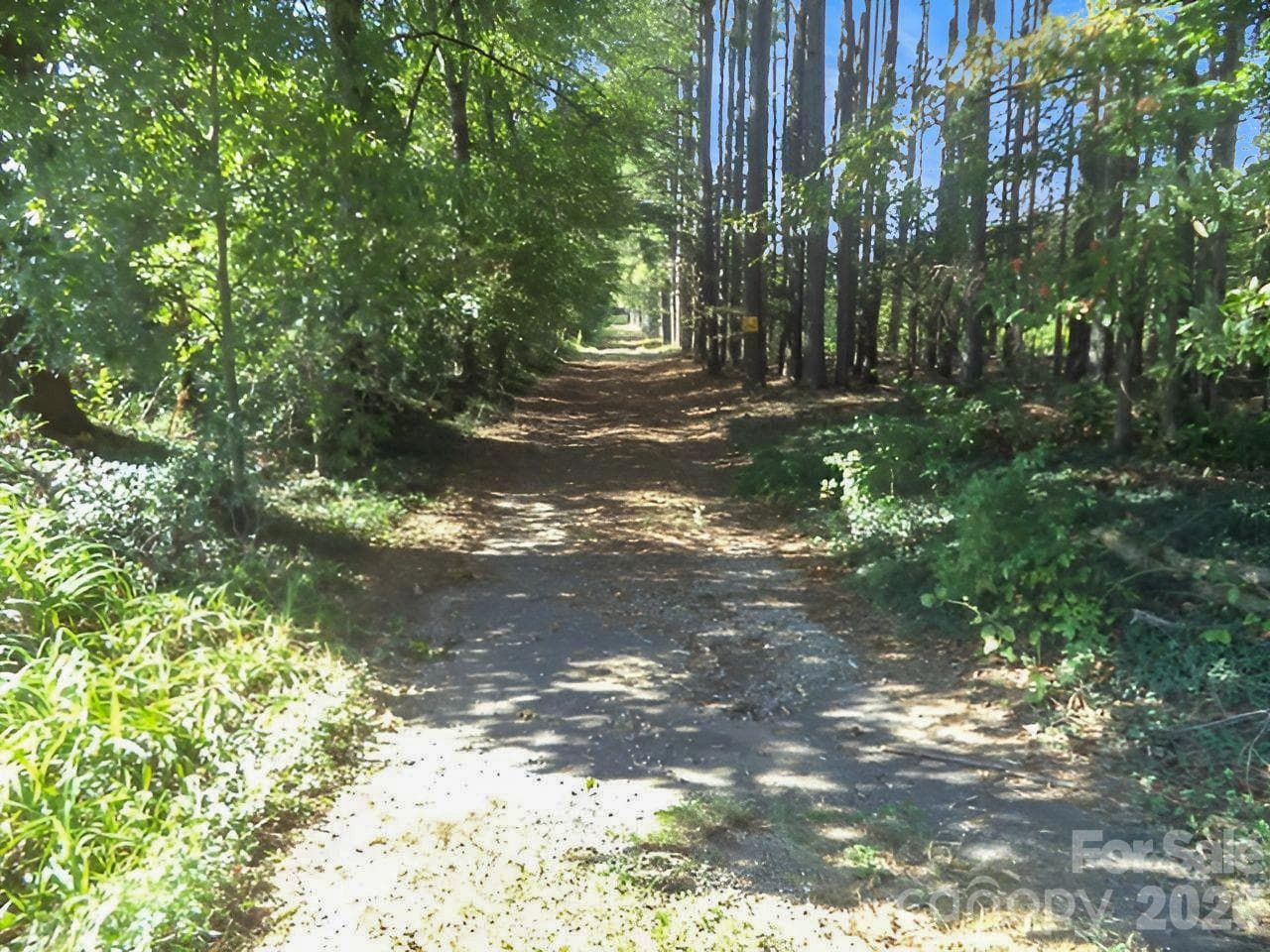 Road to access the home - 149 Mount Vernon Church Road, Olin
