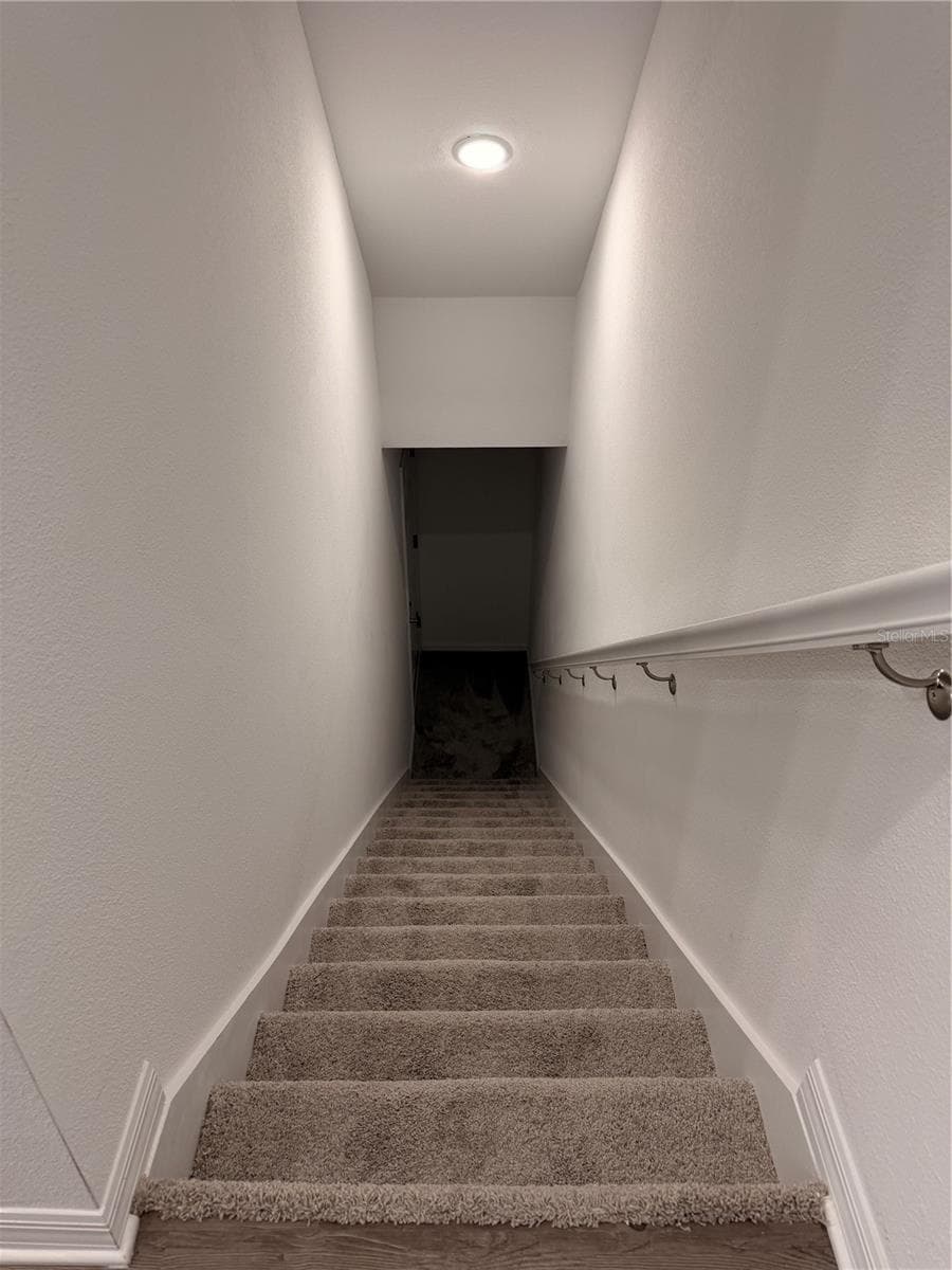 Stairs to basement - 915 LAKEFRONT VILLAGE DR, CLERMONT