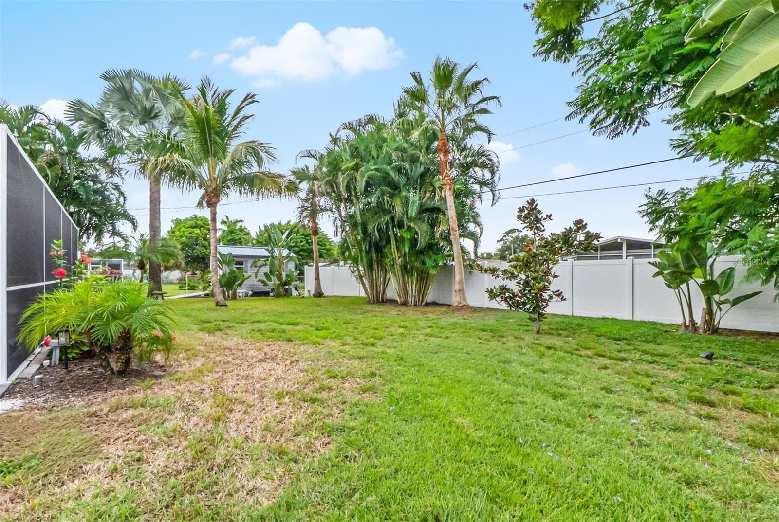 Backyard lawn bordered by tropical landscaping. - 912 CHURCH ST, VENICE