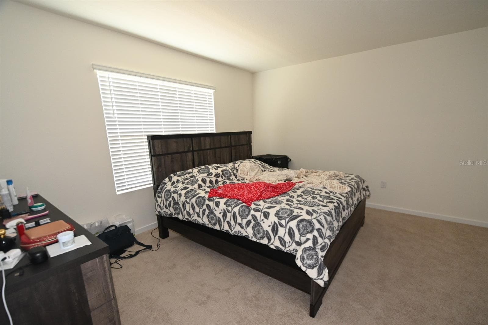 Single Family Residence at 3306 BRIARWOOD GROVE DR, OCOEE, photo 9 of 26