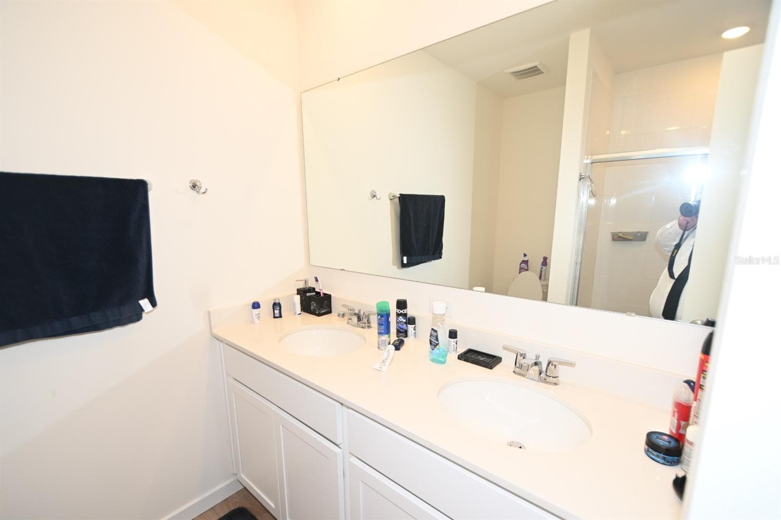 Single Family Residence at 3306 BRIARWOOD GROVE DR, OCOEE, photo 14 of 26