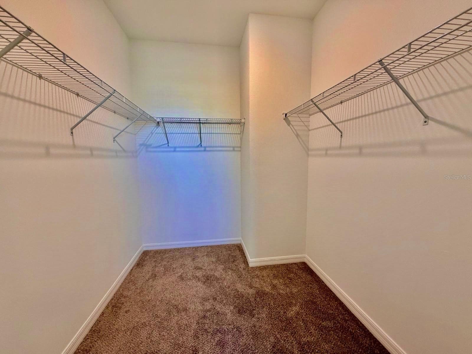 Townhouse at 5062 AVALON PARK BLVD, WESLEY CHAPEL, photo 13 of 35