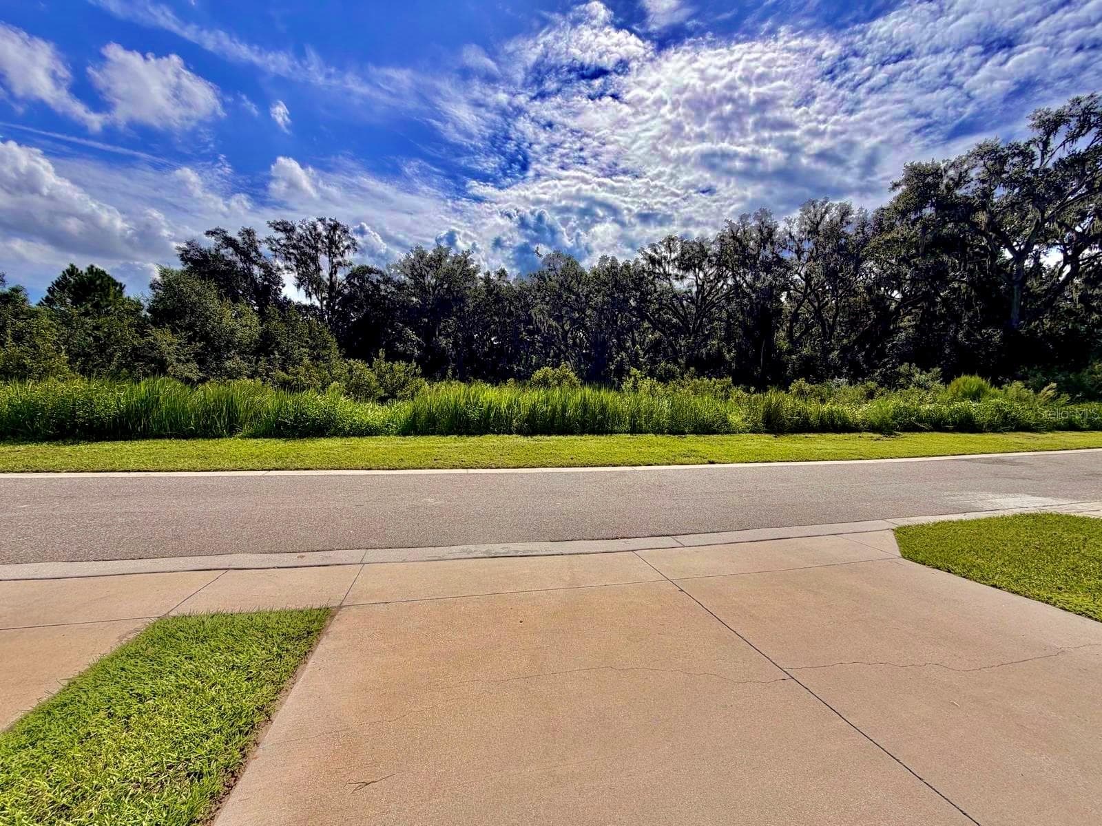 Townhouse at 5062 AVALON PARK BLVD, WESLEY CHAPEL, photo 25 of 35