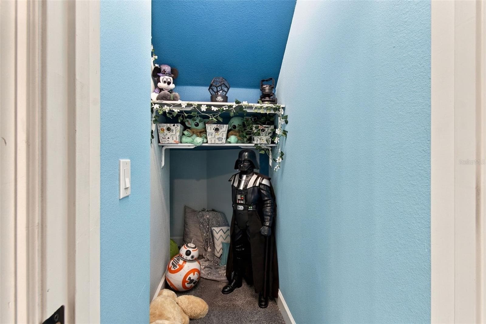 Closet under the stairs - 14031 ZEPHERMOOR LN, WINTER GARDEN
