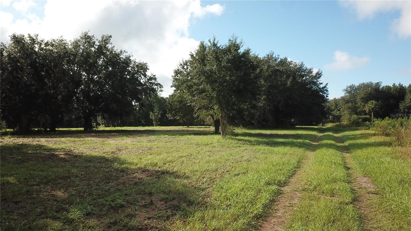 Land at W LAKE YALE RD, UMATILLA, photo 2 of 13