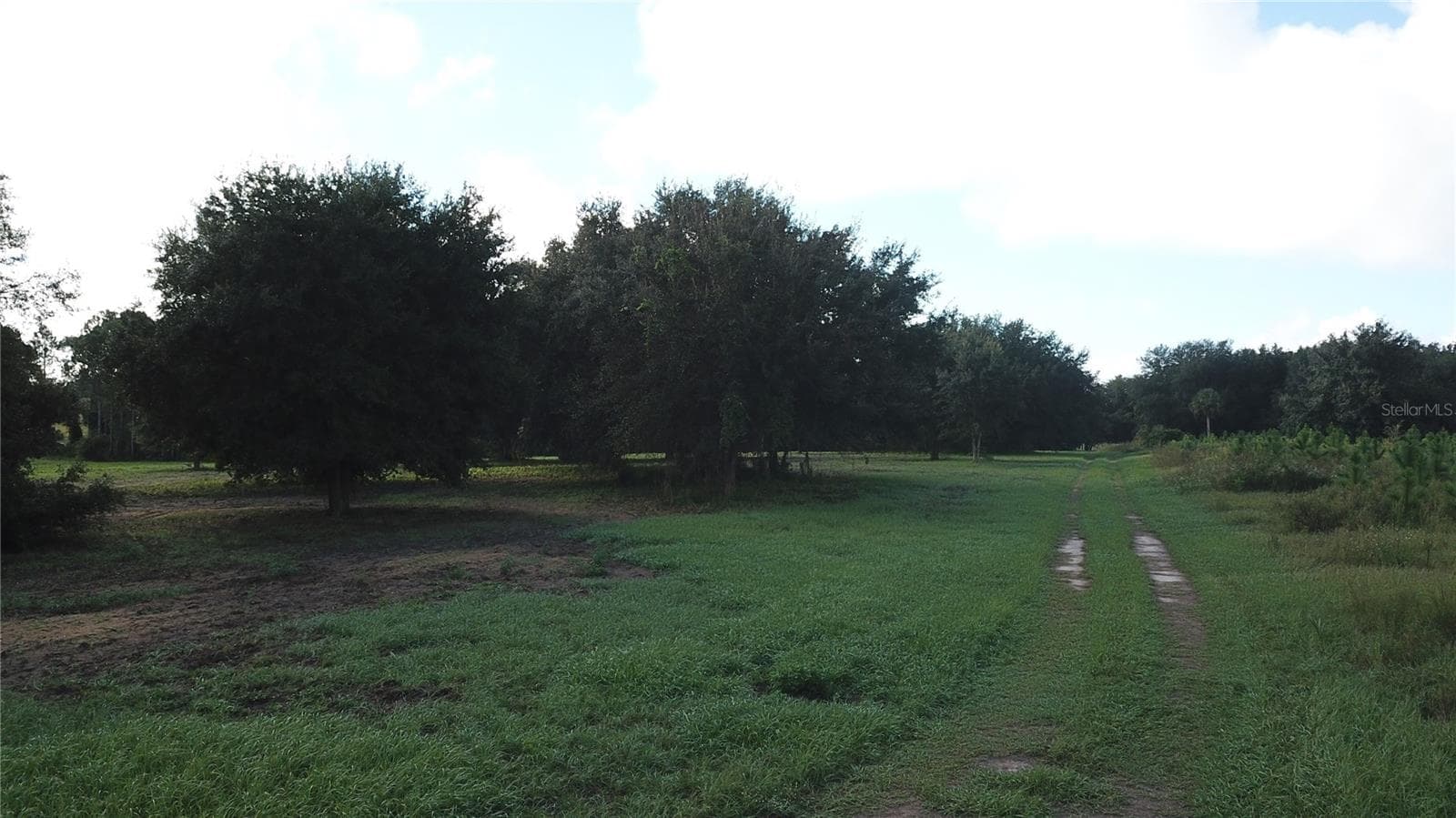 Land at W LAKE YALE RD, UMATILLA, photo 3 of 13