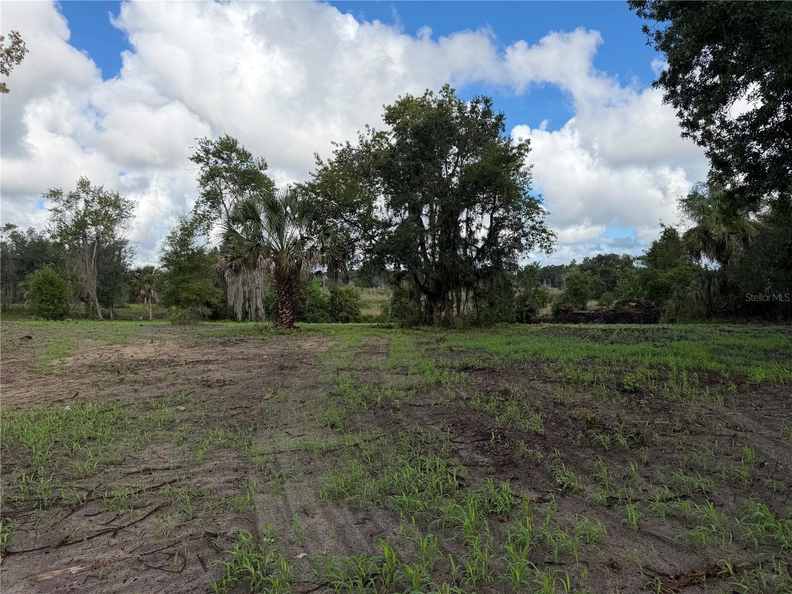 Land at W LAKE YALE RD, UMATILLA, photo 5 of 13