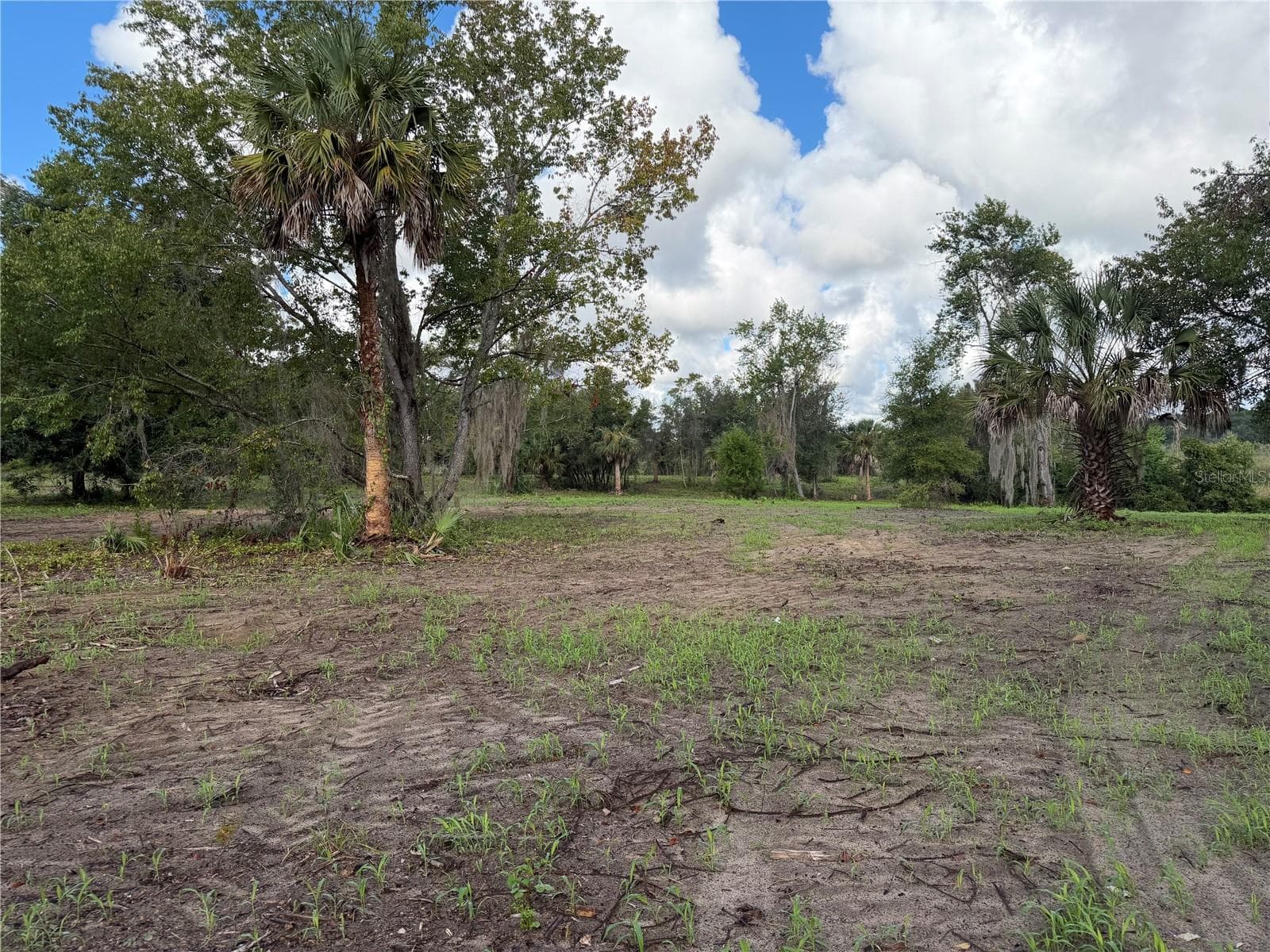 Land at W LAKE YALE RD, UMATILLA, photo 6 of 13