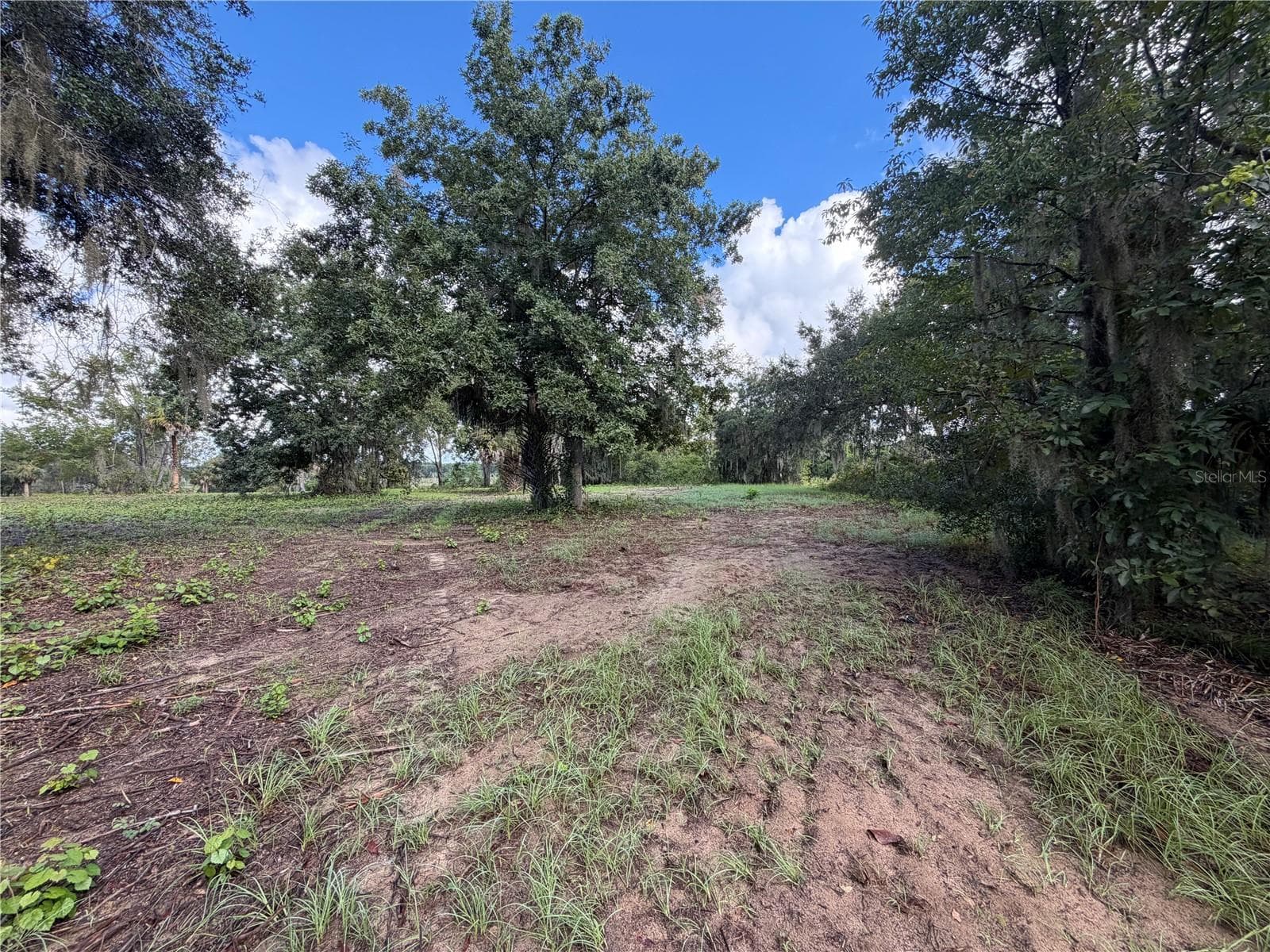 Land at W LAKE YALE RD, UMATILLA, photo 7 of 13