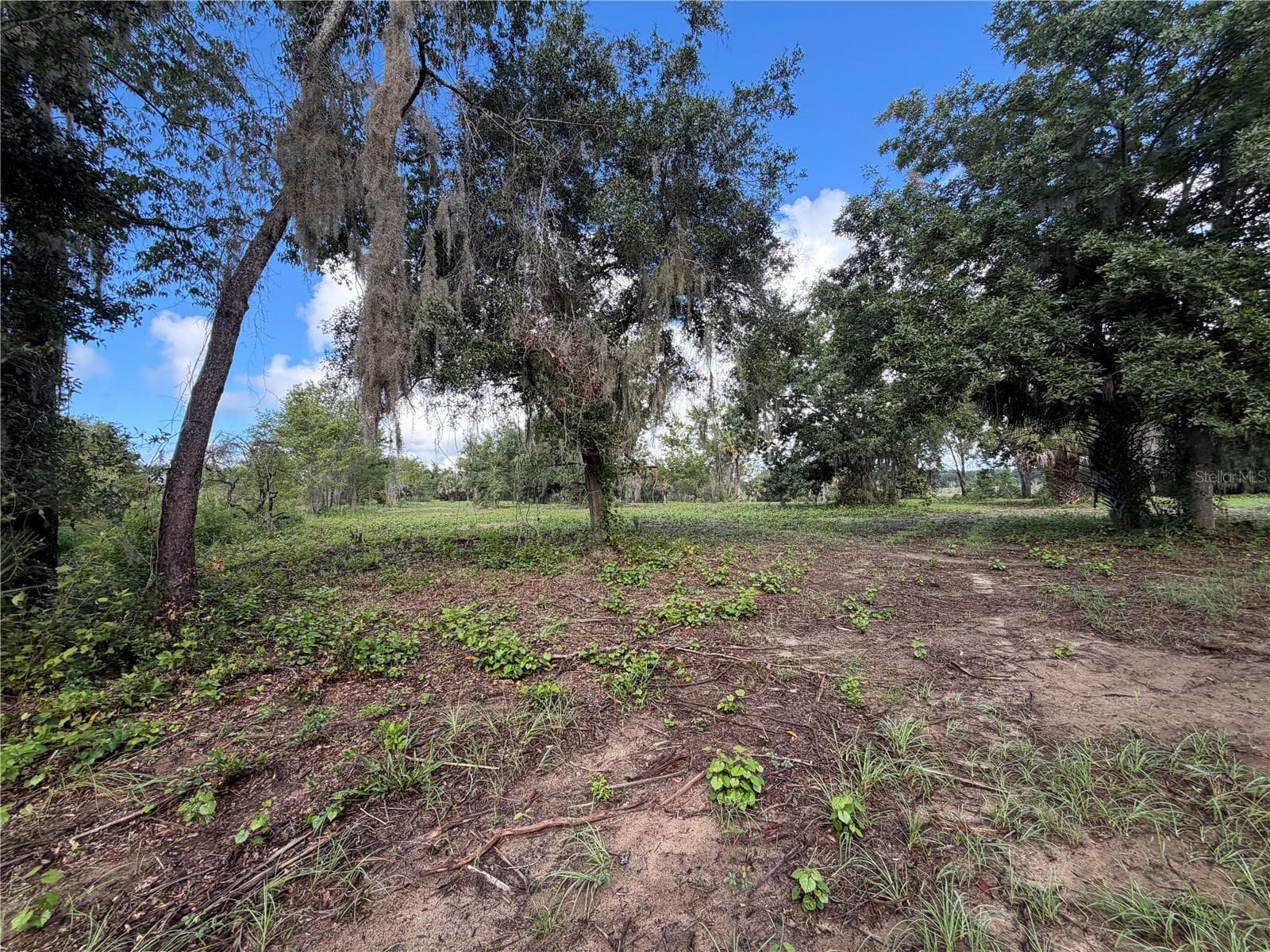 Land at W LAKE YALE RD, UMATILLA, photo 8 of 13